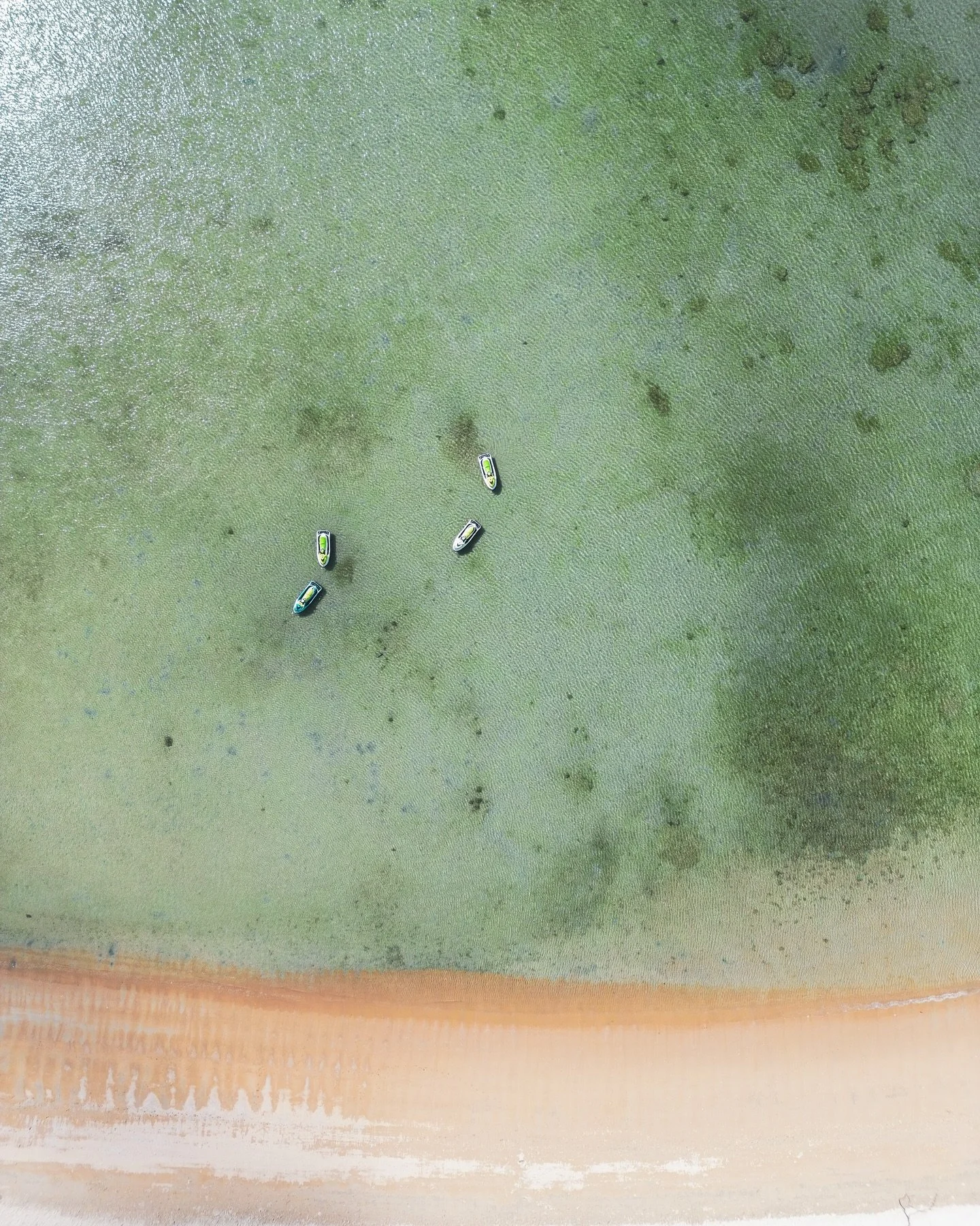 Fancy seeing you here&hellip; again!

2025 is really taking the cake for the most consistent stretch of Northerlies we&rsquo;ve ever seen. Lucky for you, we can run from Nelly Bay too! 🌿

Just a heads-up: tours are from Nelly only and must be booked