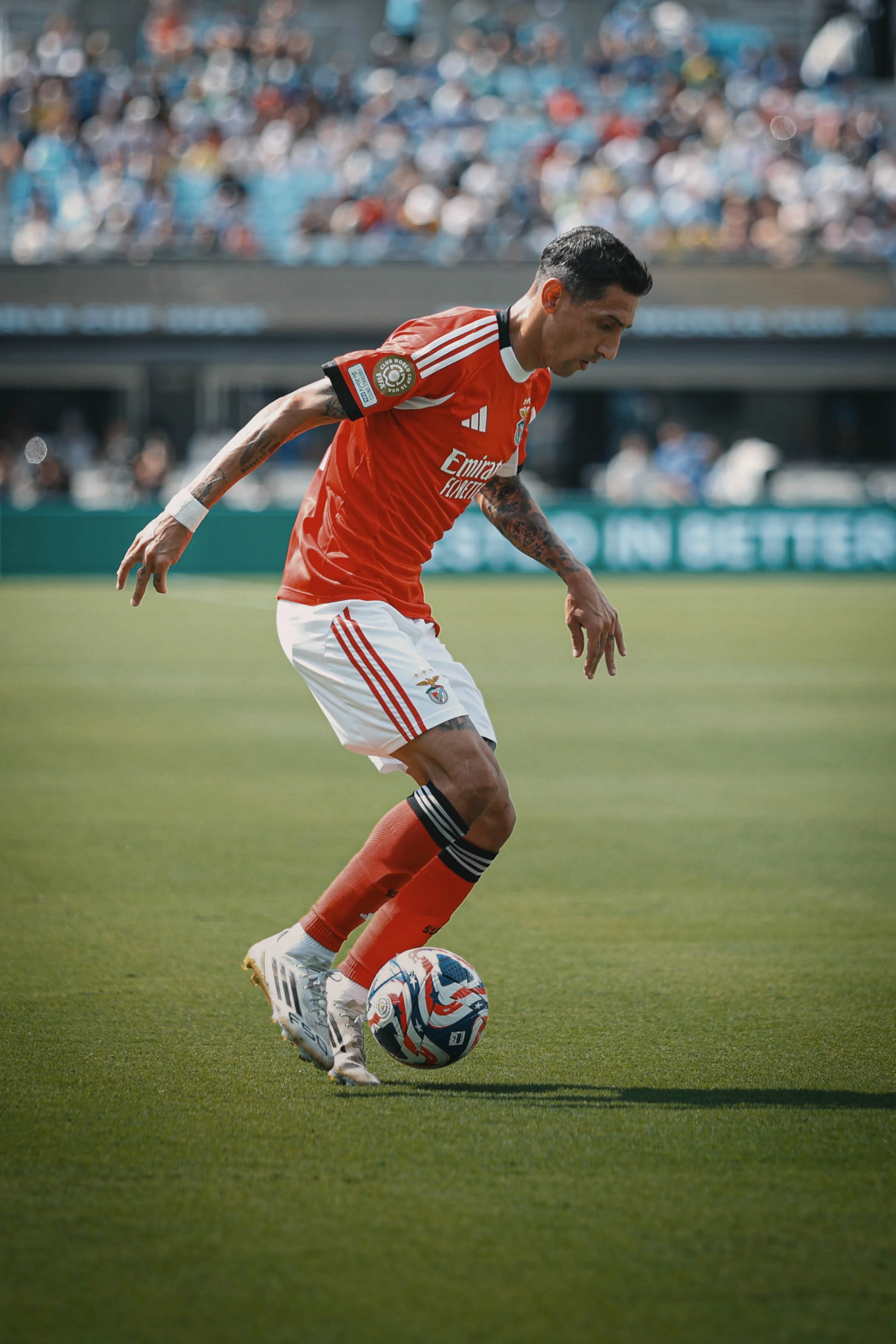 SLBvCFC-30.jpg