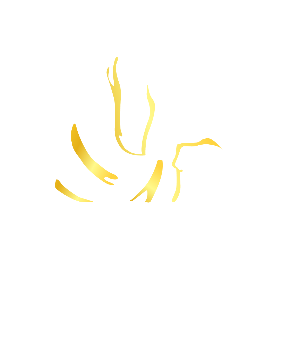Zurie Capital Group | Freight Brokerage | Logistics &amp; Shipping Solutions