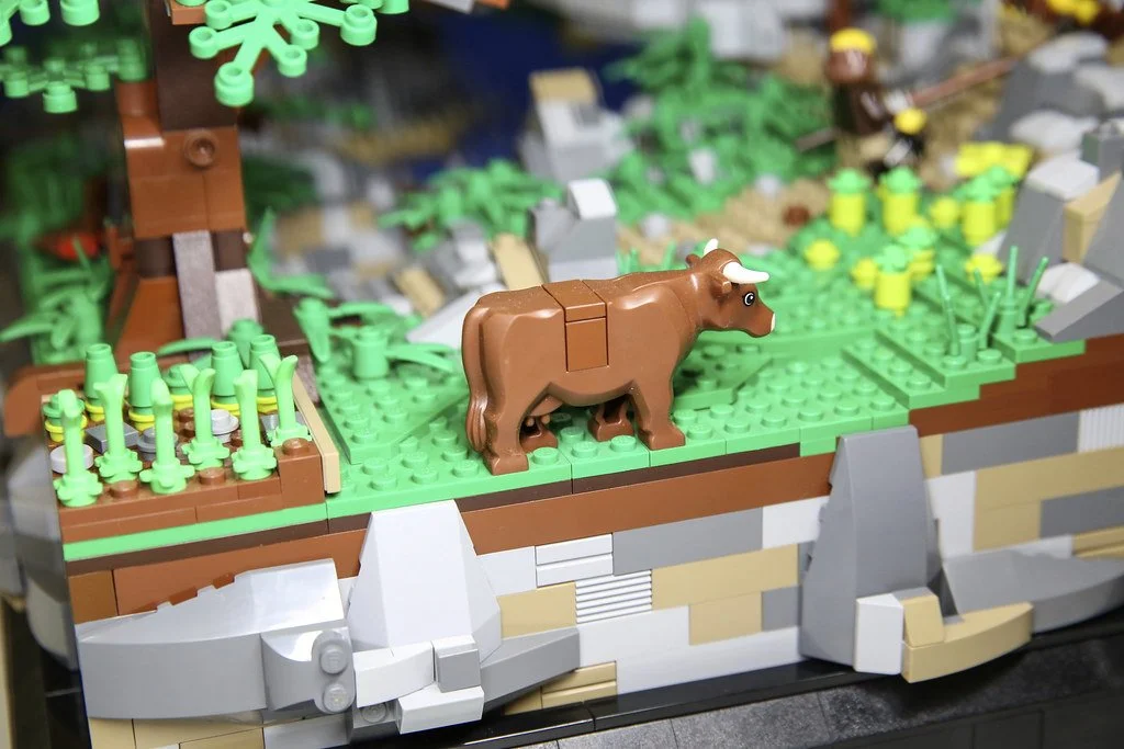 gotta-have-a-cow-right_31230910451_l.jpg