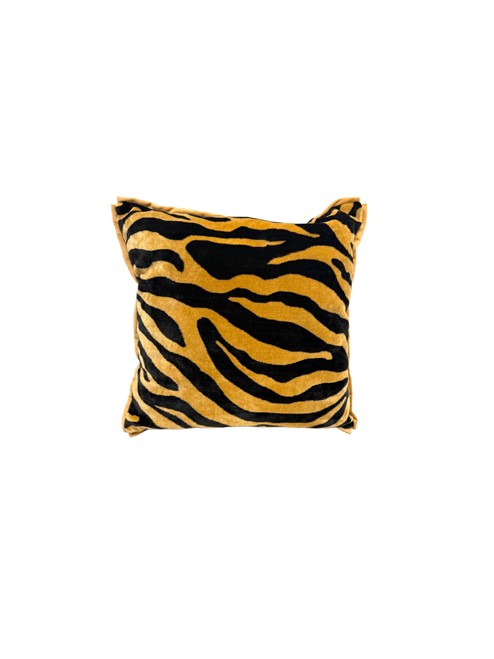 Cat Couture - 3