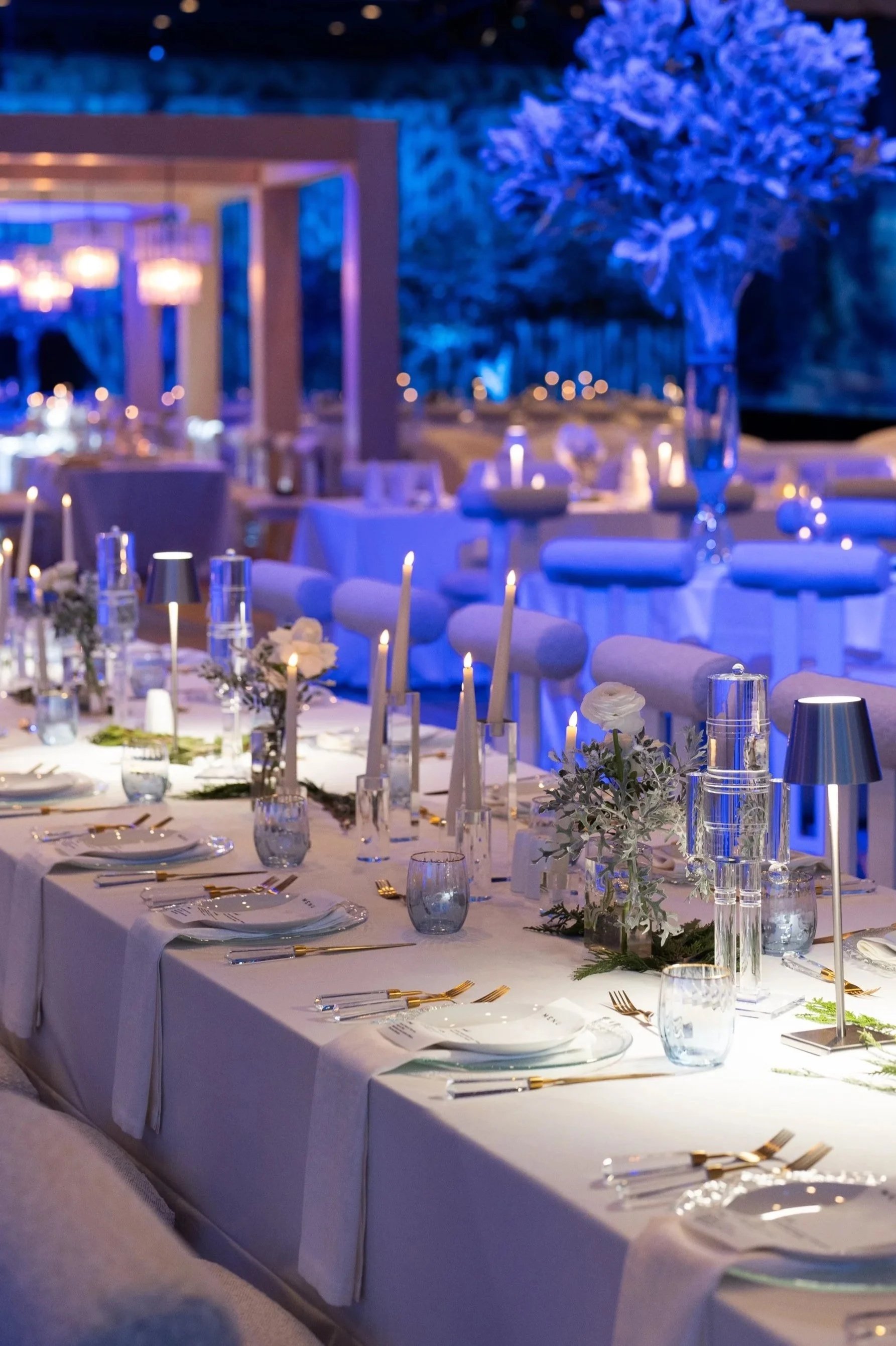 Lighting + Accents