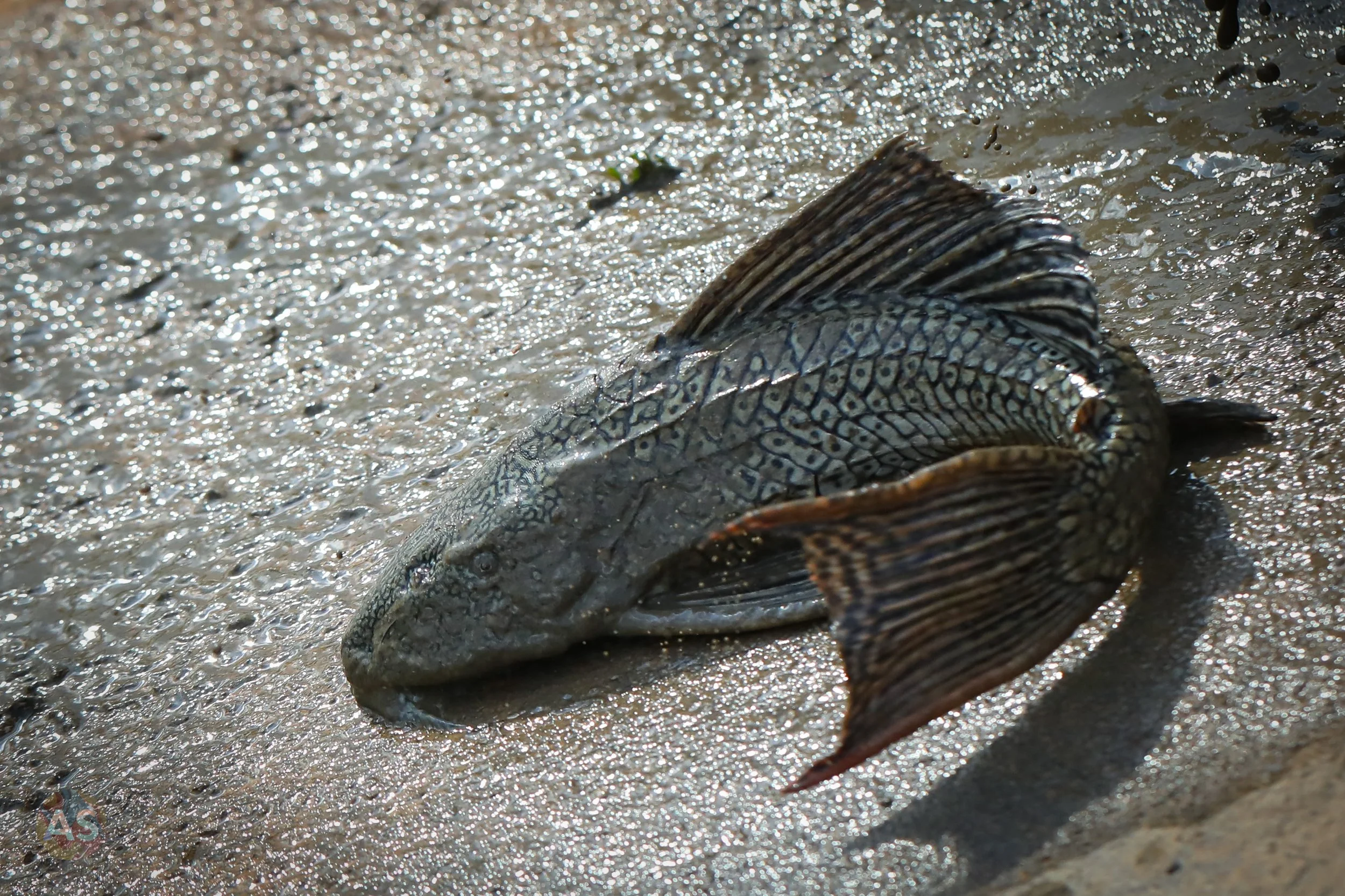 vol d-093.jpg