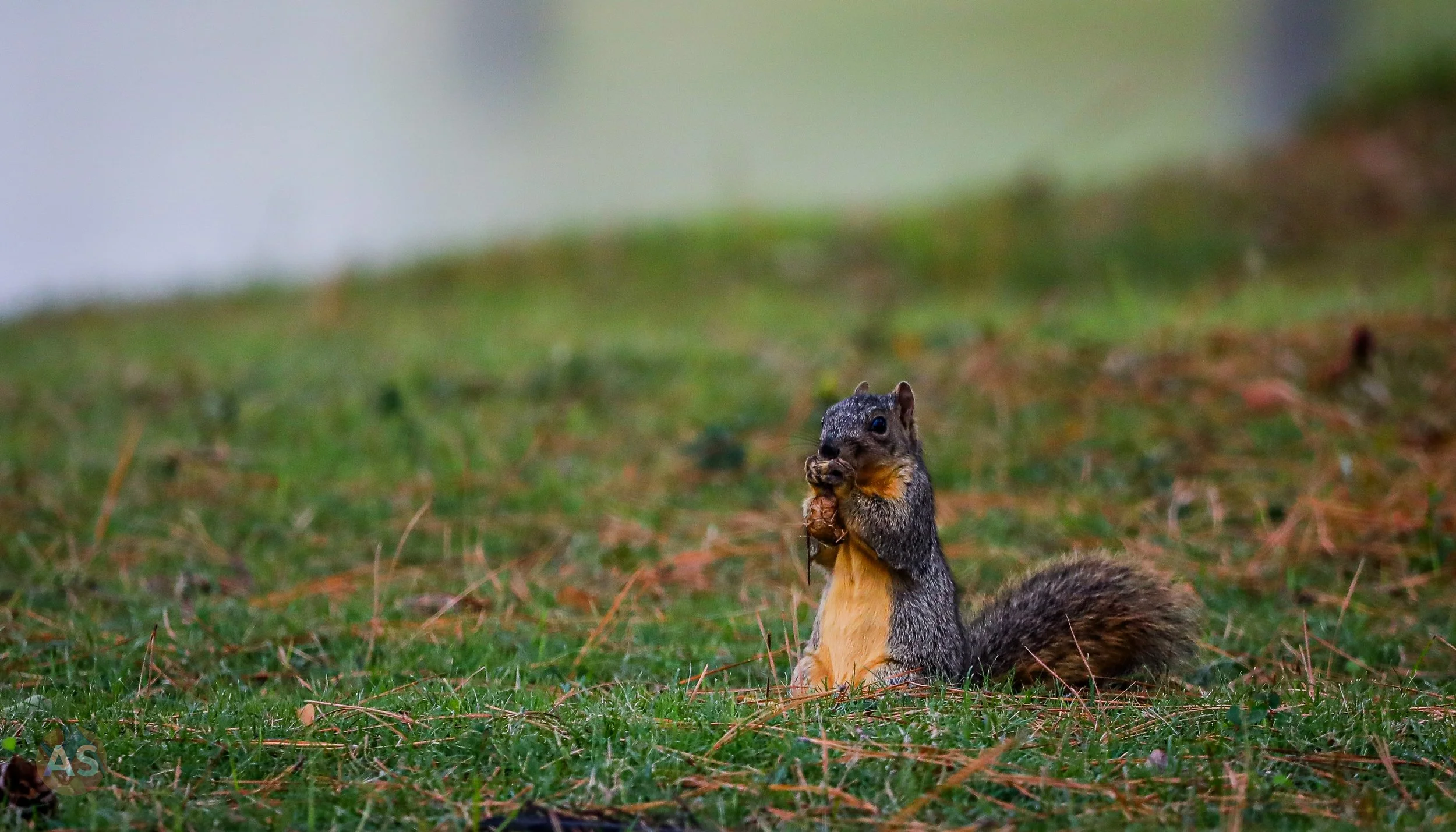 vol 4-04.jpg