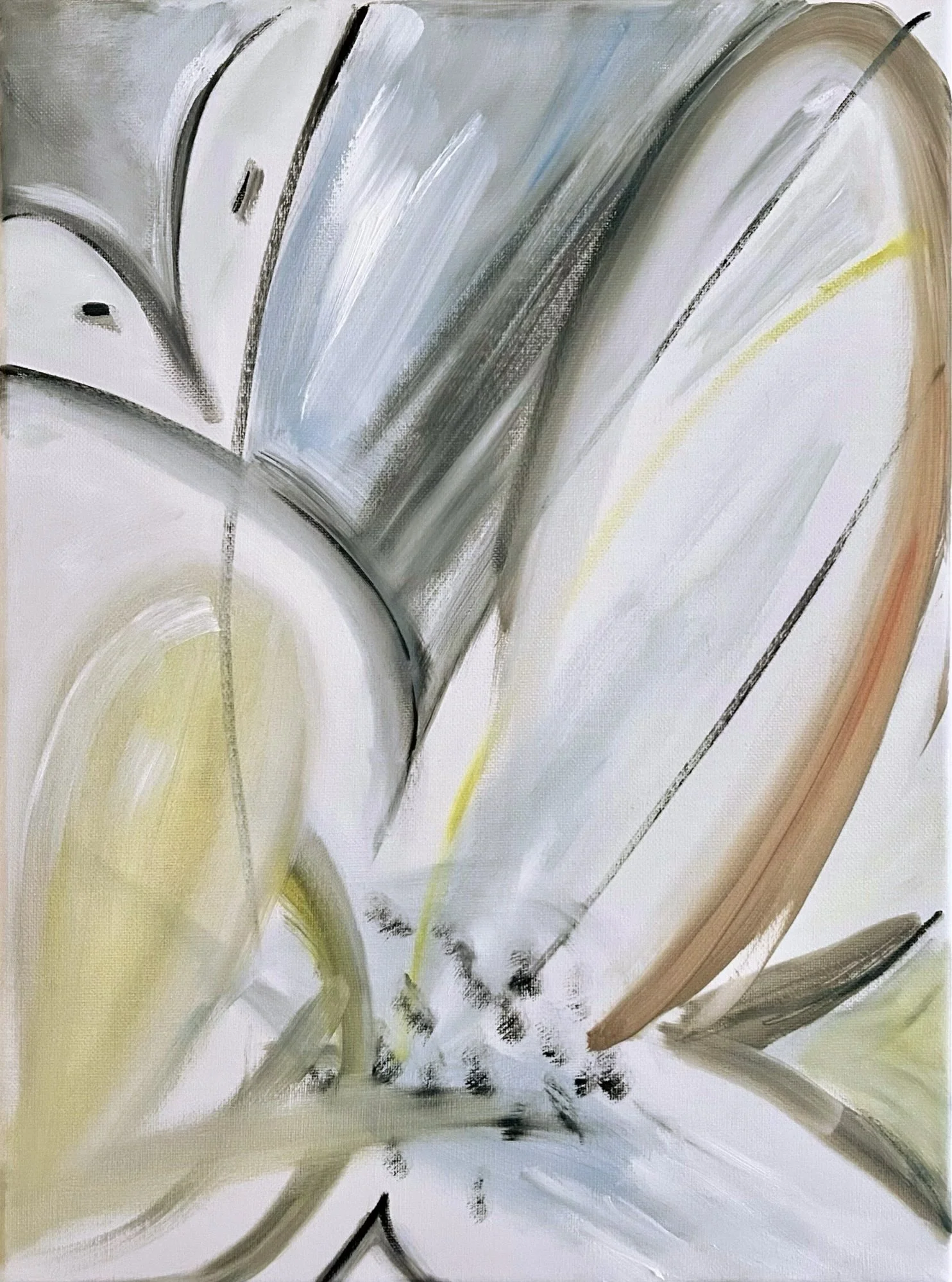 Spreading Petals - Oil on Canvas -  12x16" - 2026