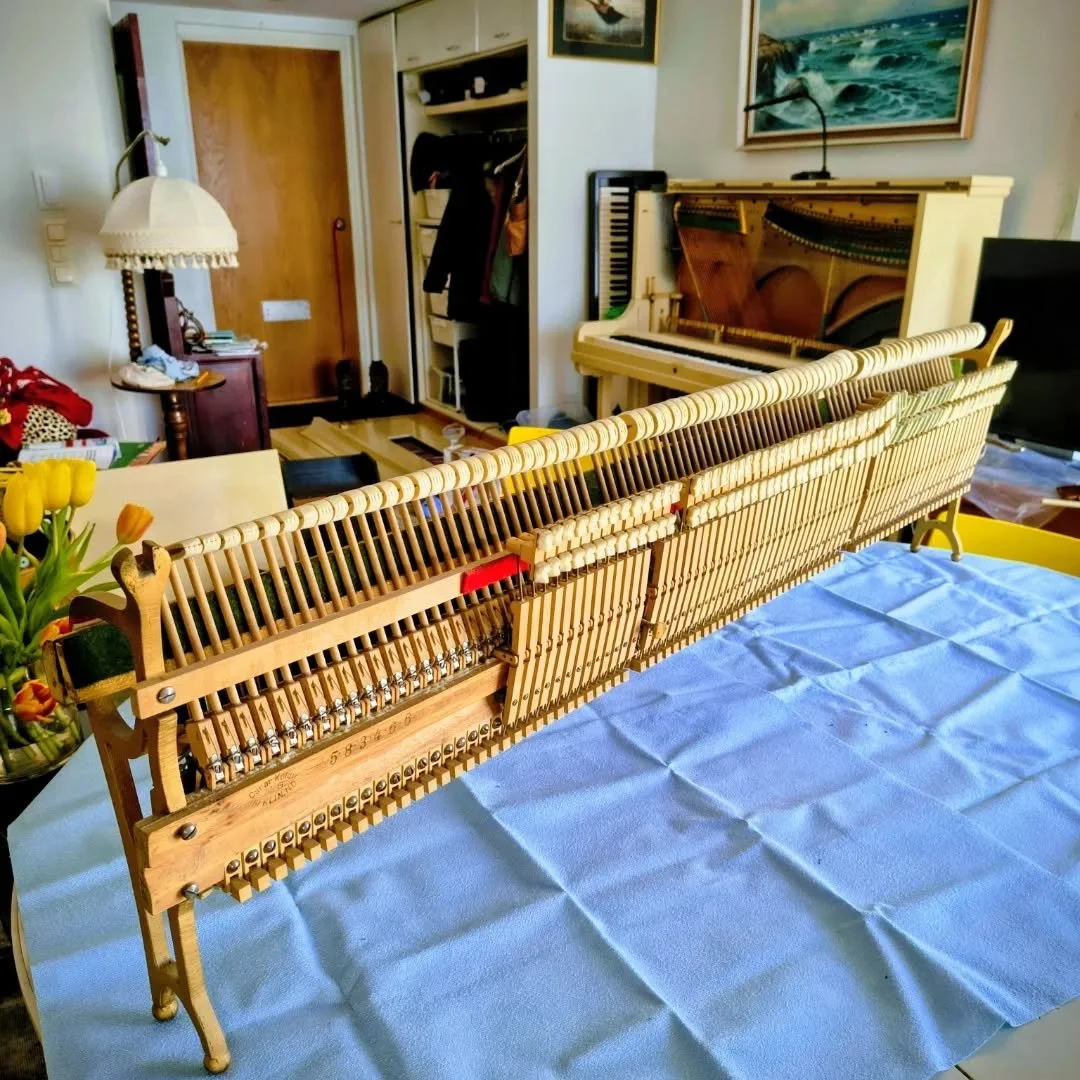 Kovin alkaa olla kokenut yli 100-vuotias pianovanhus. Olisi aika vaihtaa kuluneita materiaaleja uusiin. T&auml;ll&auml; kertaa tosin riitt&auml;&auml; aika ja budjetti vain pienen piristyksen antamiseen sammuttajille kirist&auml;m&auml;ll&auml; jouse