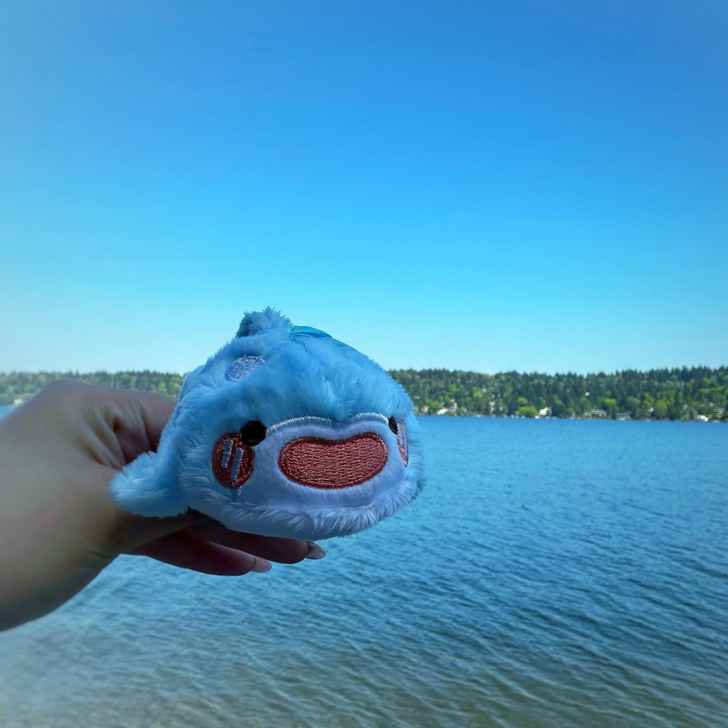 whale shark plushie keychain