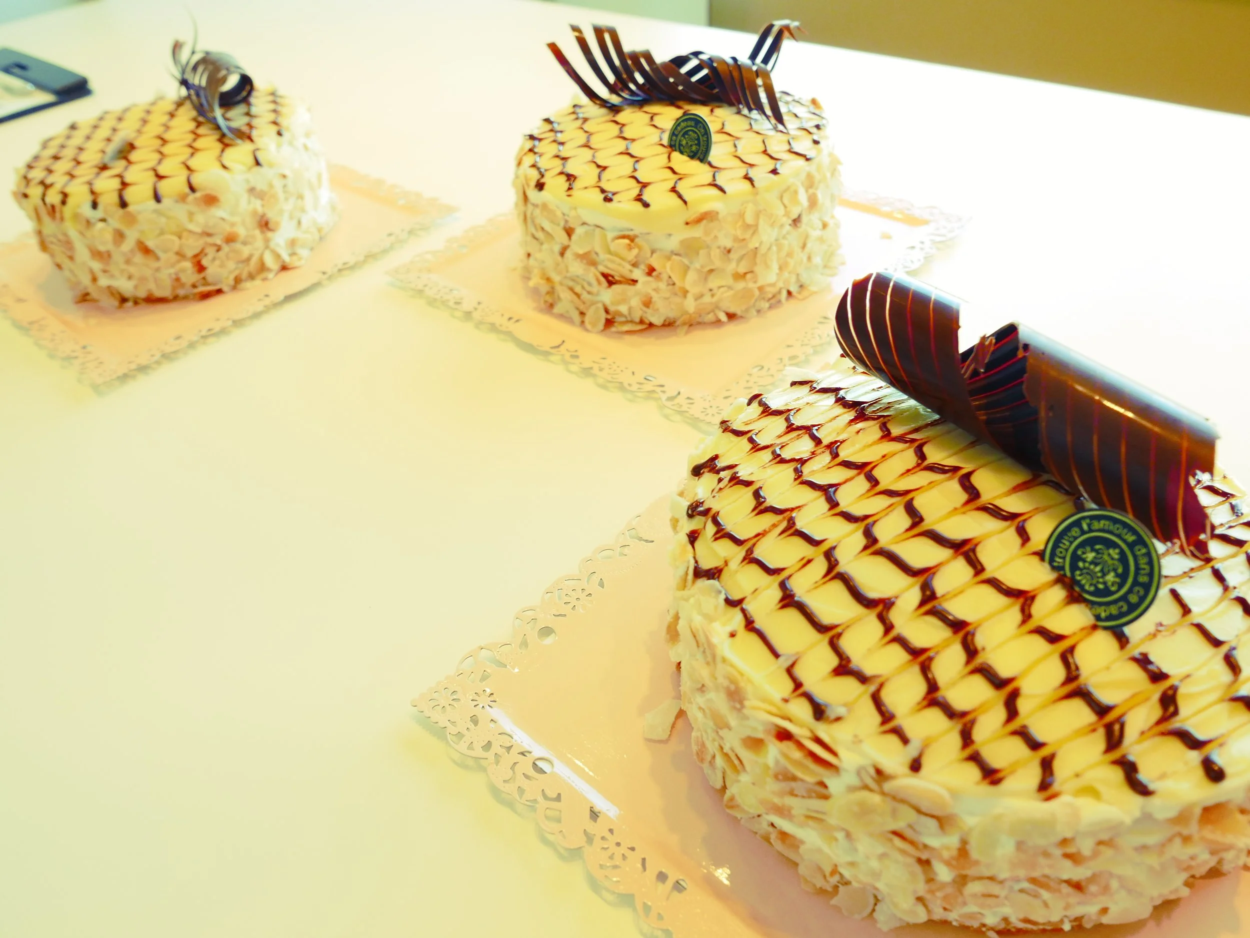 木枯らしの朝に咲いた幾何学模様。「エステルハーティトルテ」の優美な姿