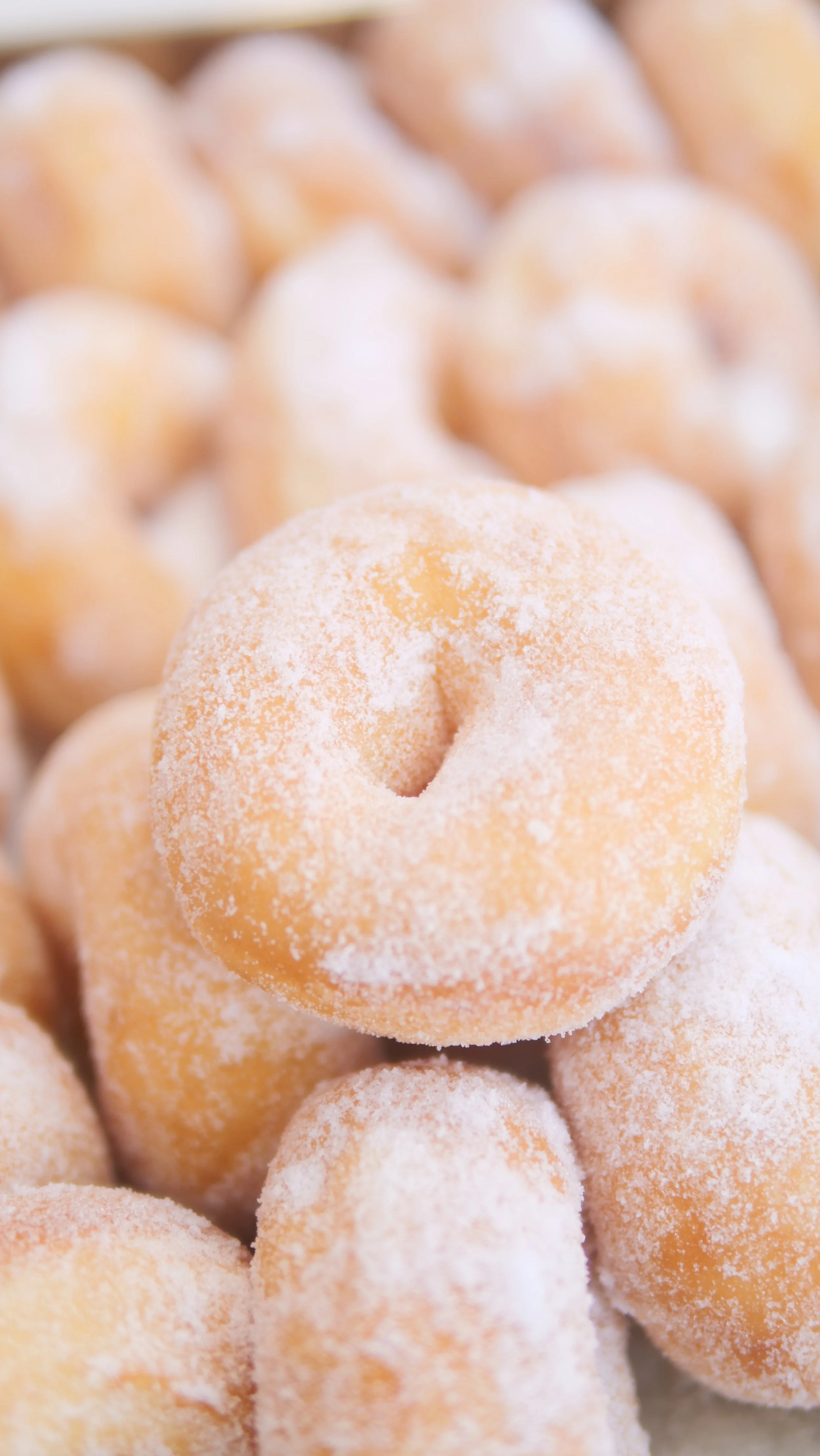 【木曜販売】魅惑のドーナツ