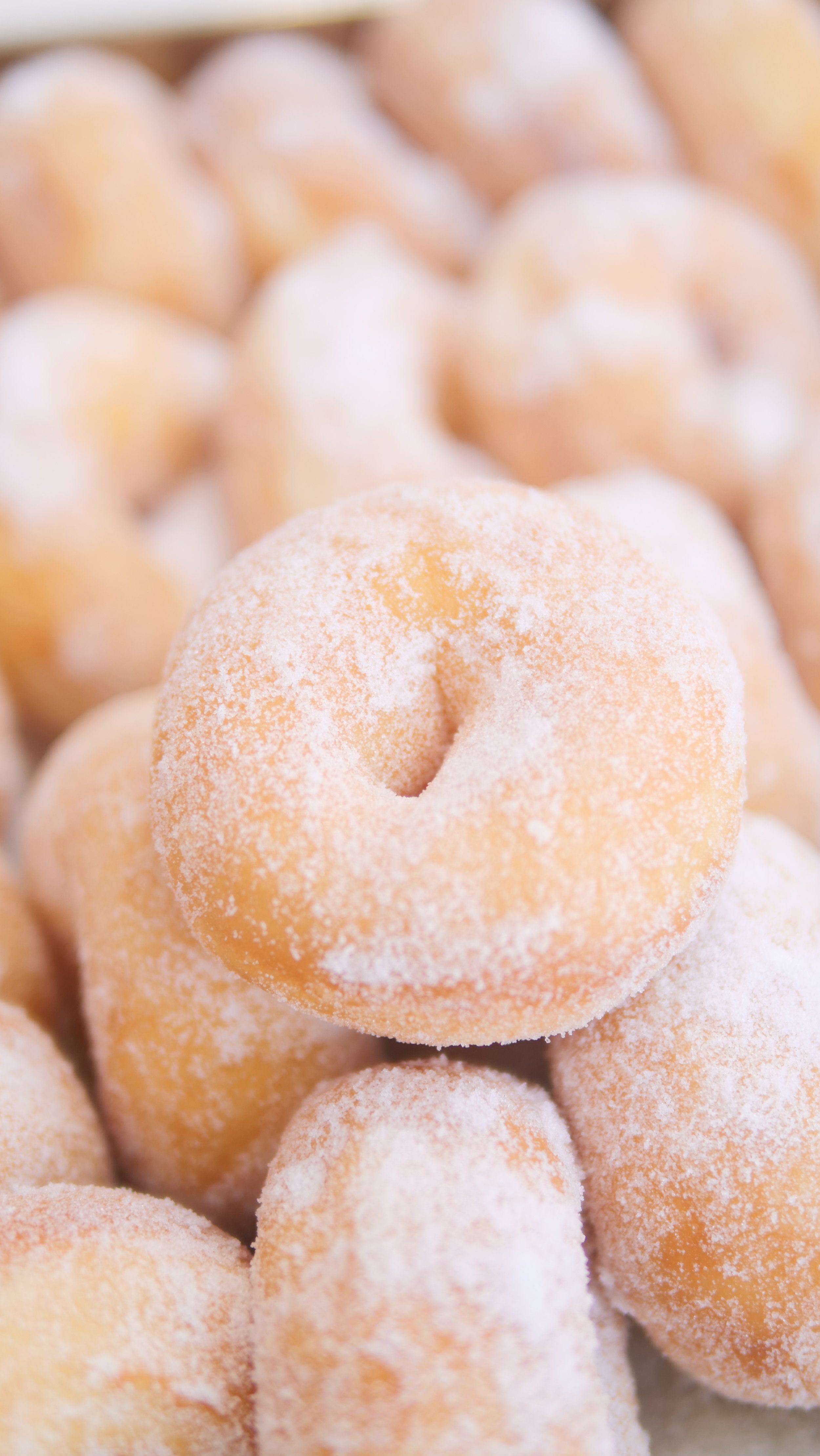 パティスリー301で販売されている「魅惑のドーナツ」。低温熟成されたイーストドーナツがきつね色に揚げられ、新鮮な油ならではの軽い仕上がりを見せている。