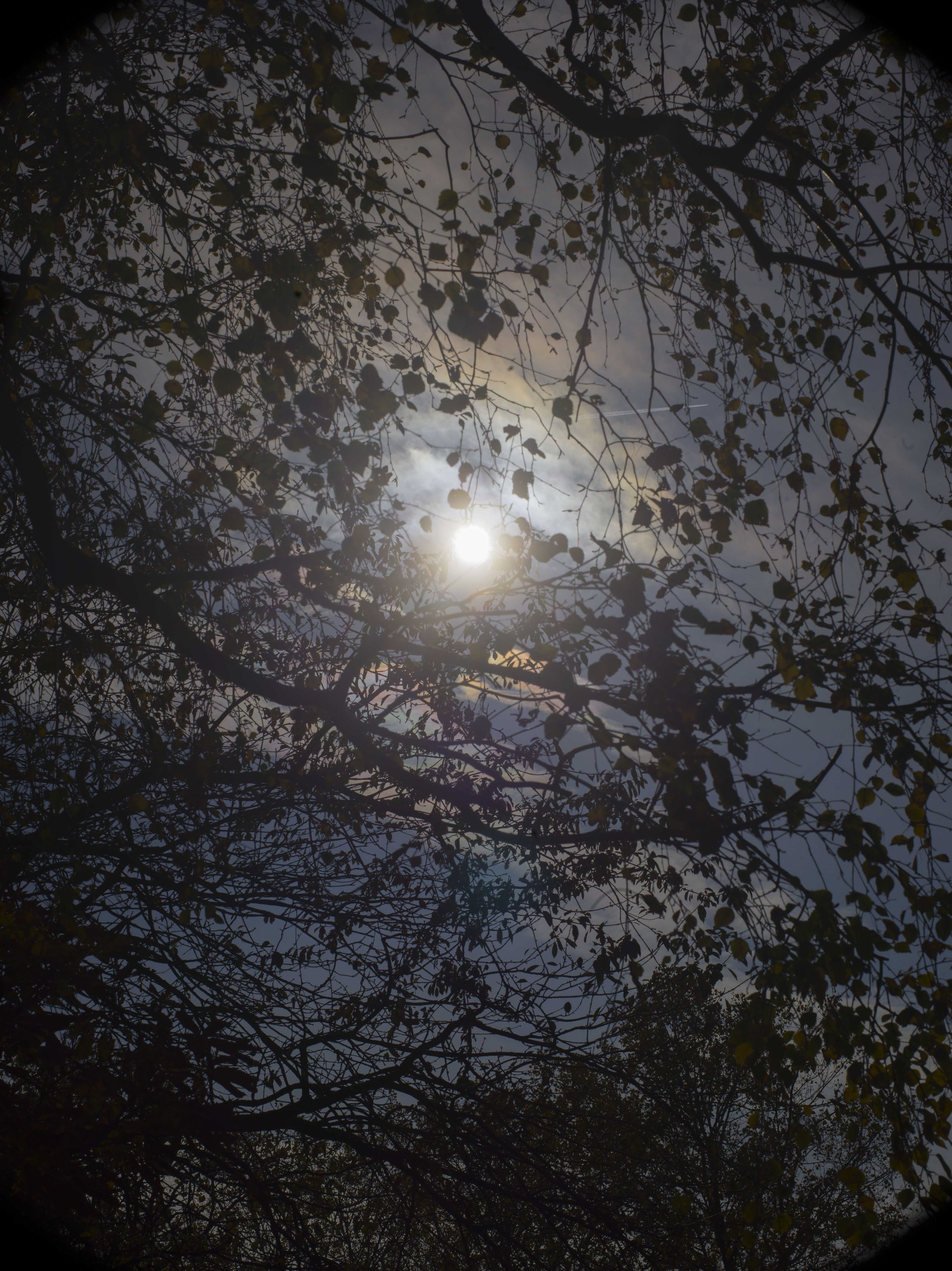 b0010599_18576.jpg