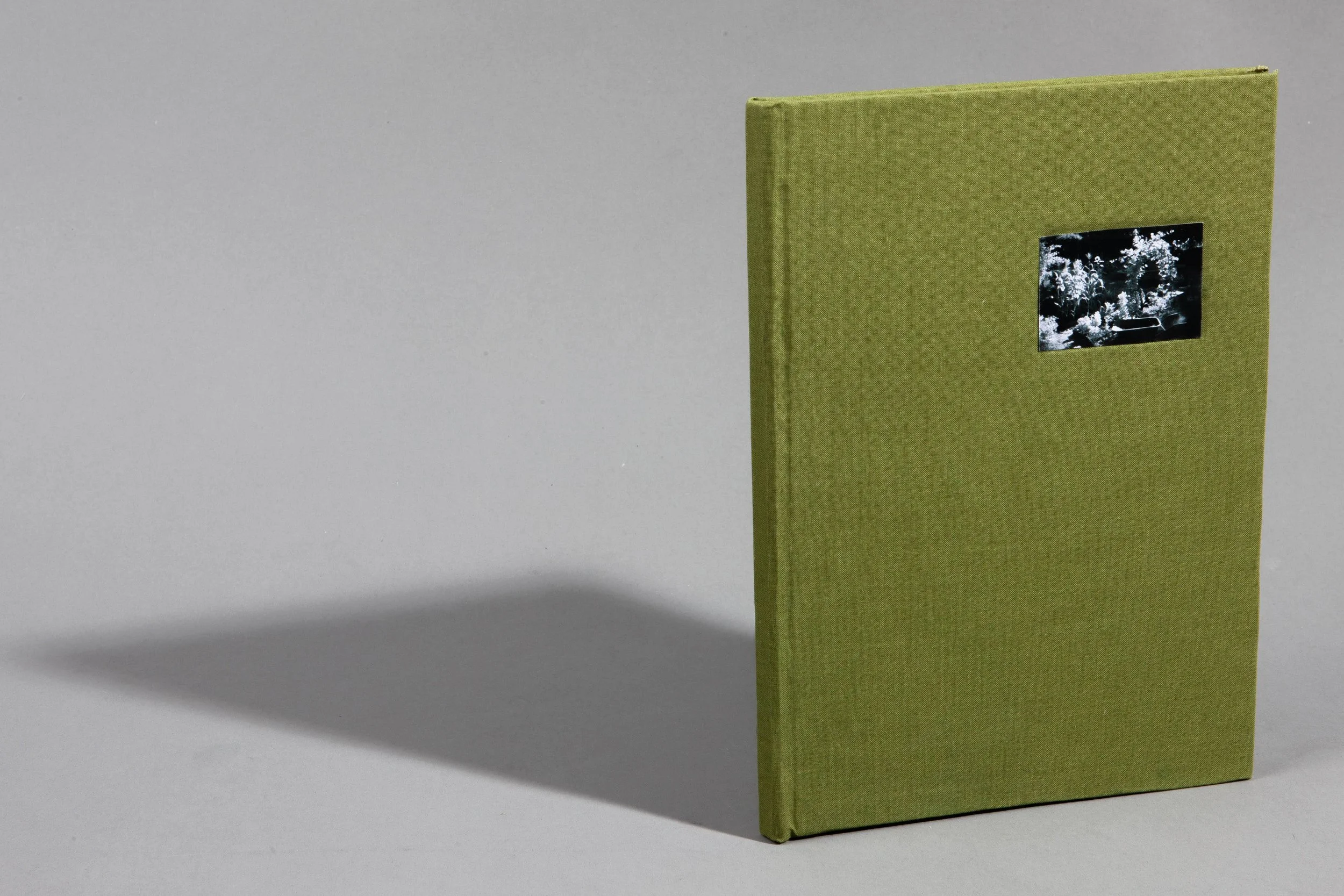 I Need To Start a Garden