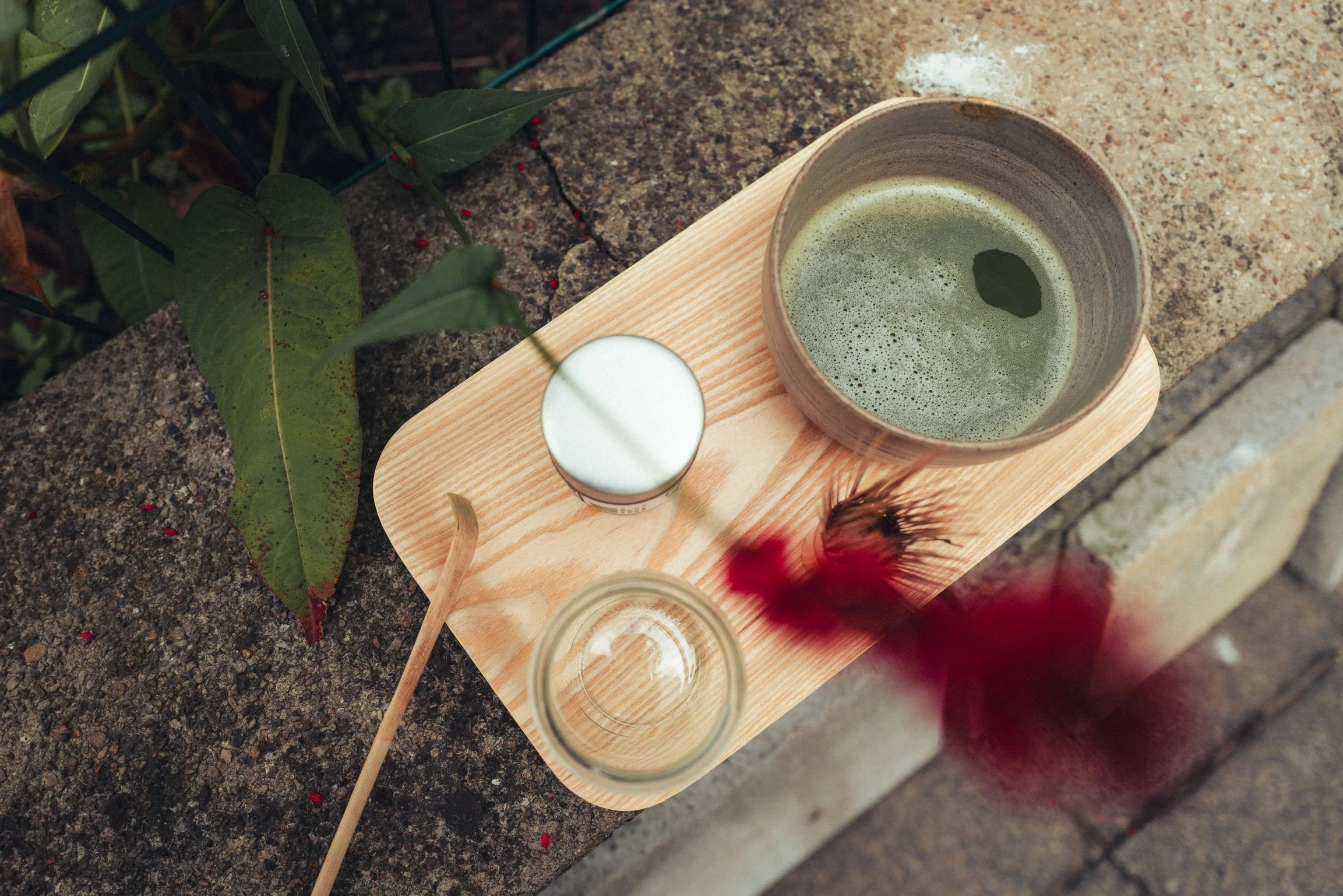 © Tom Jungbluth - test-1480124.JPG