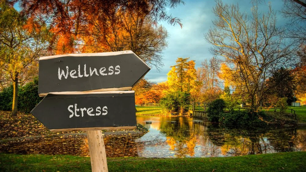 Escape Burnout: Men’s Summer Wellness Retreats in Thailand