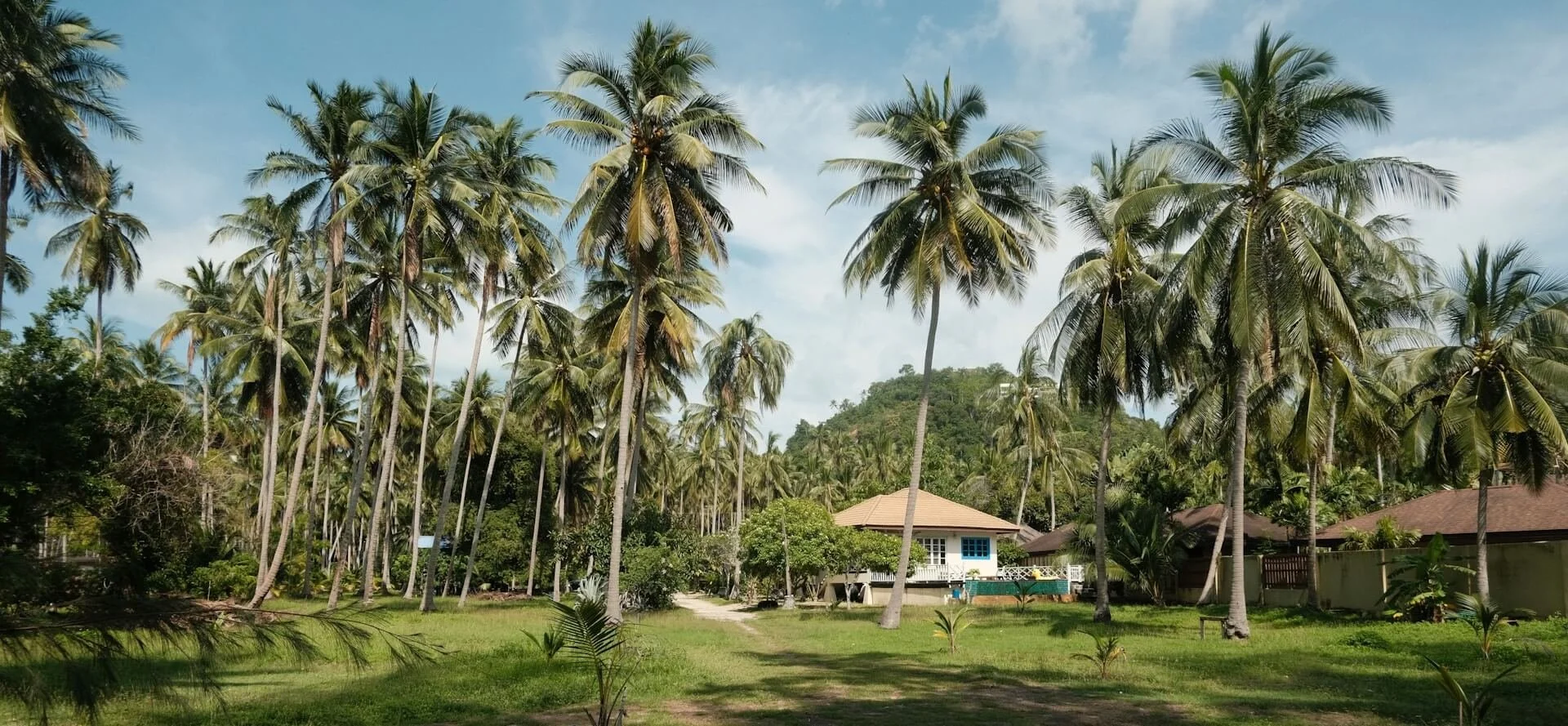 10 Benefits of Booking Thailand Mental Health Retreats for Retired Men