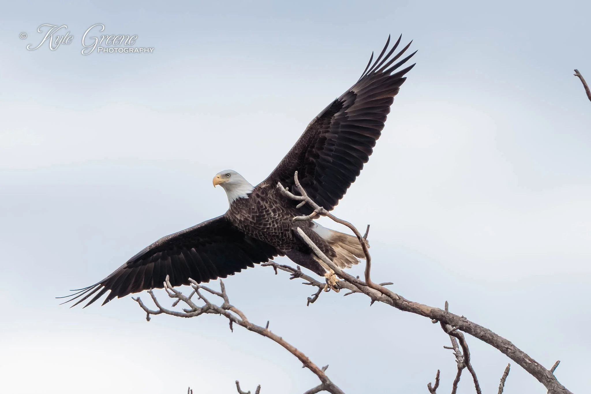 Citrus County Landfill