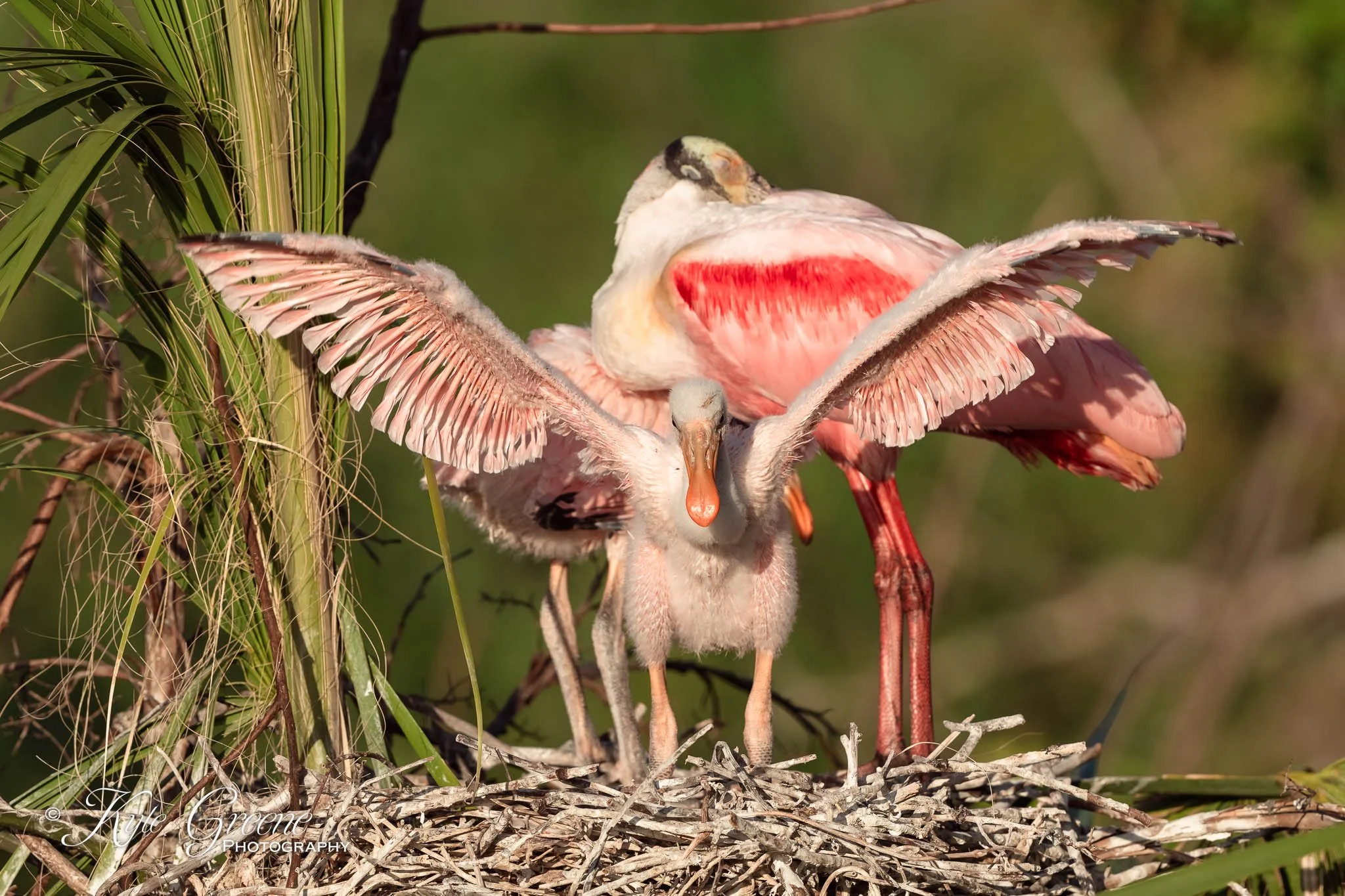 Orlando Wetlands