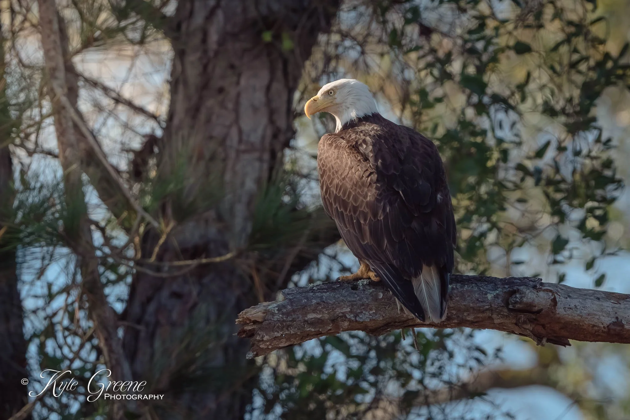 Merritt Island NWR