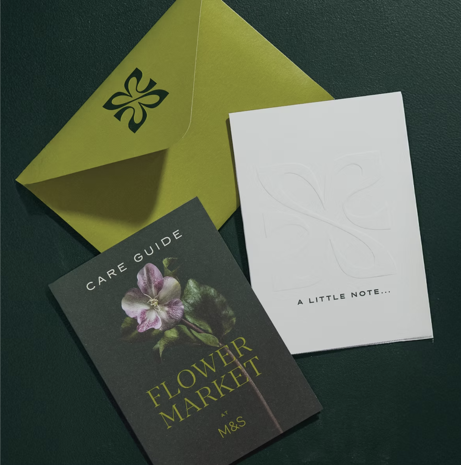 M&S_Flowers_7.png