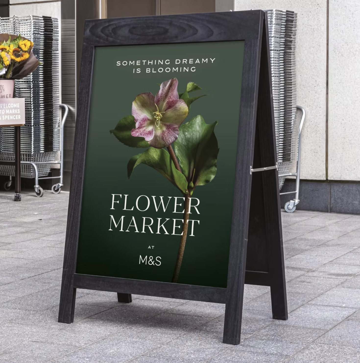 M&S_Flowers_10.png