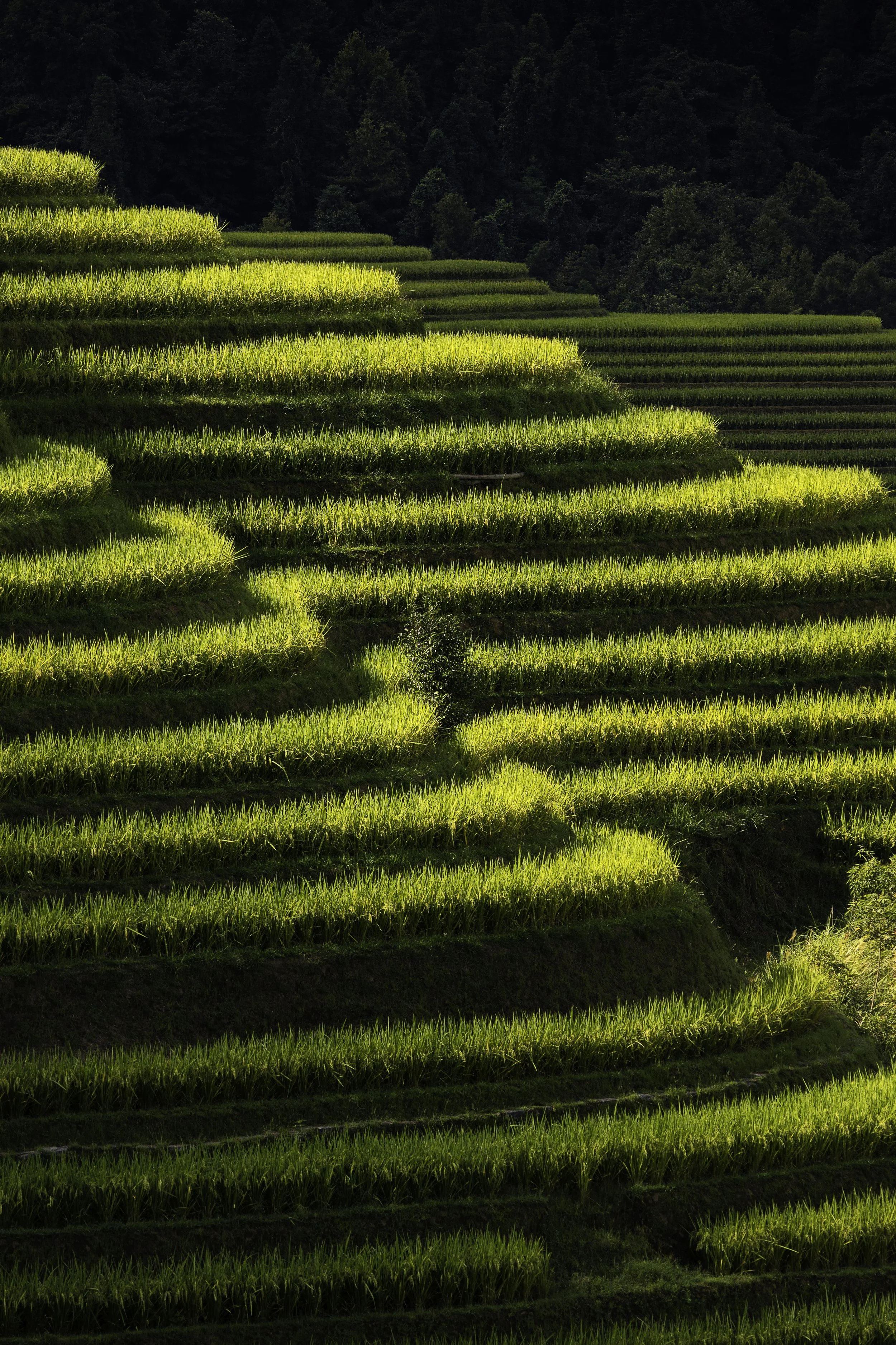 _904A7369-Edit.jpg