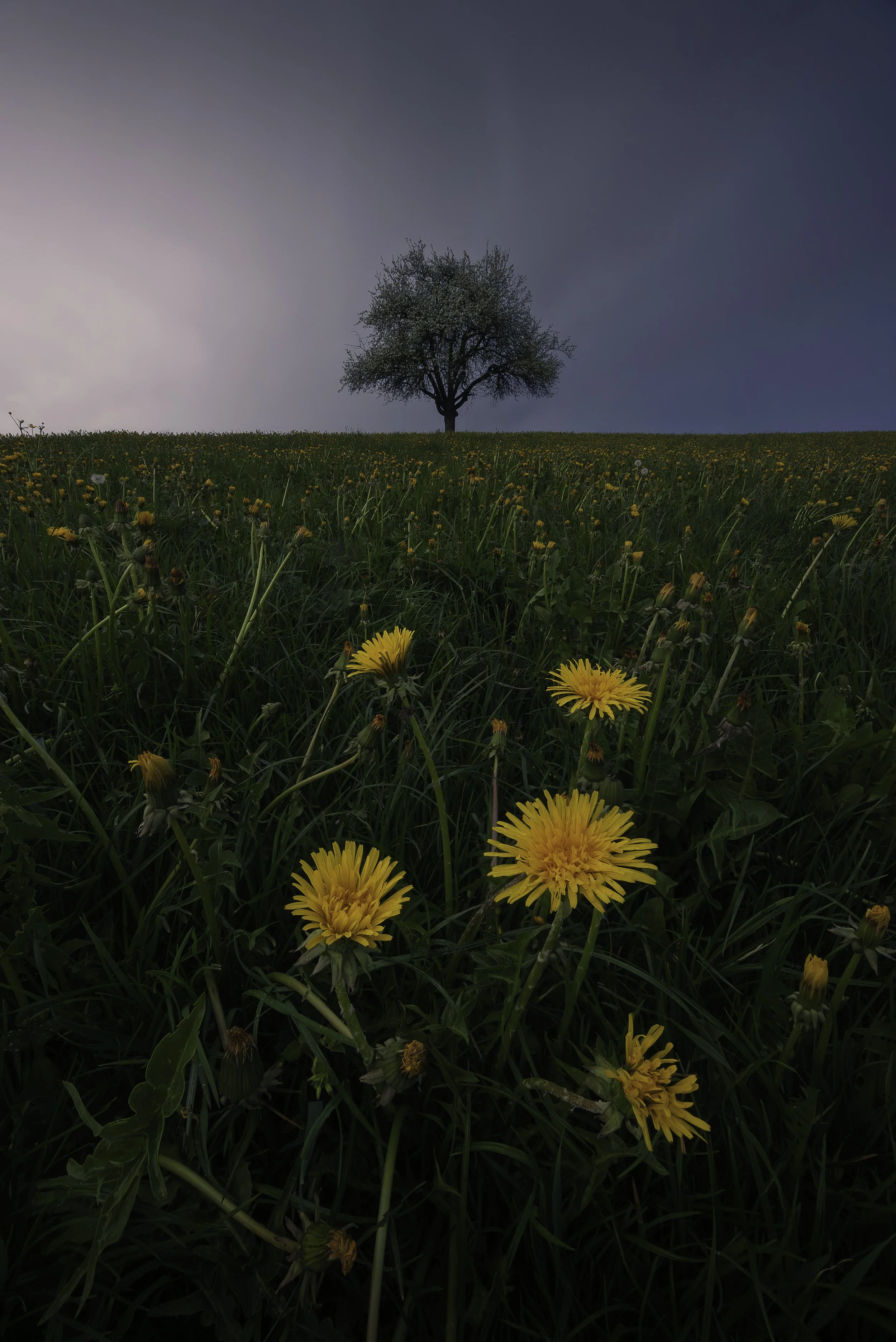 0_94A2540-Edit.jpg