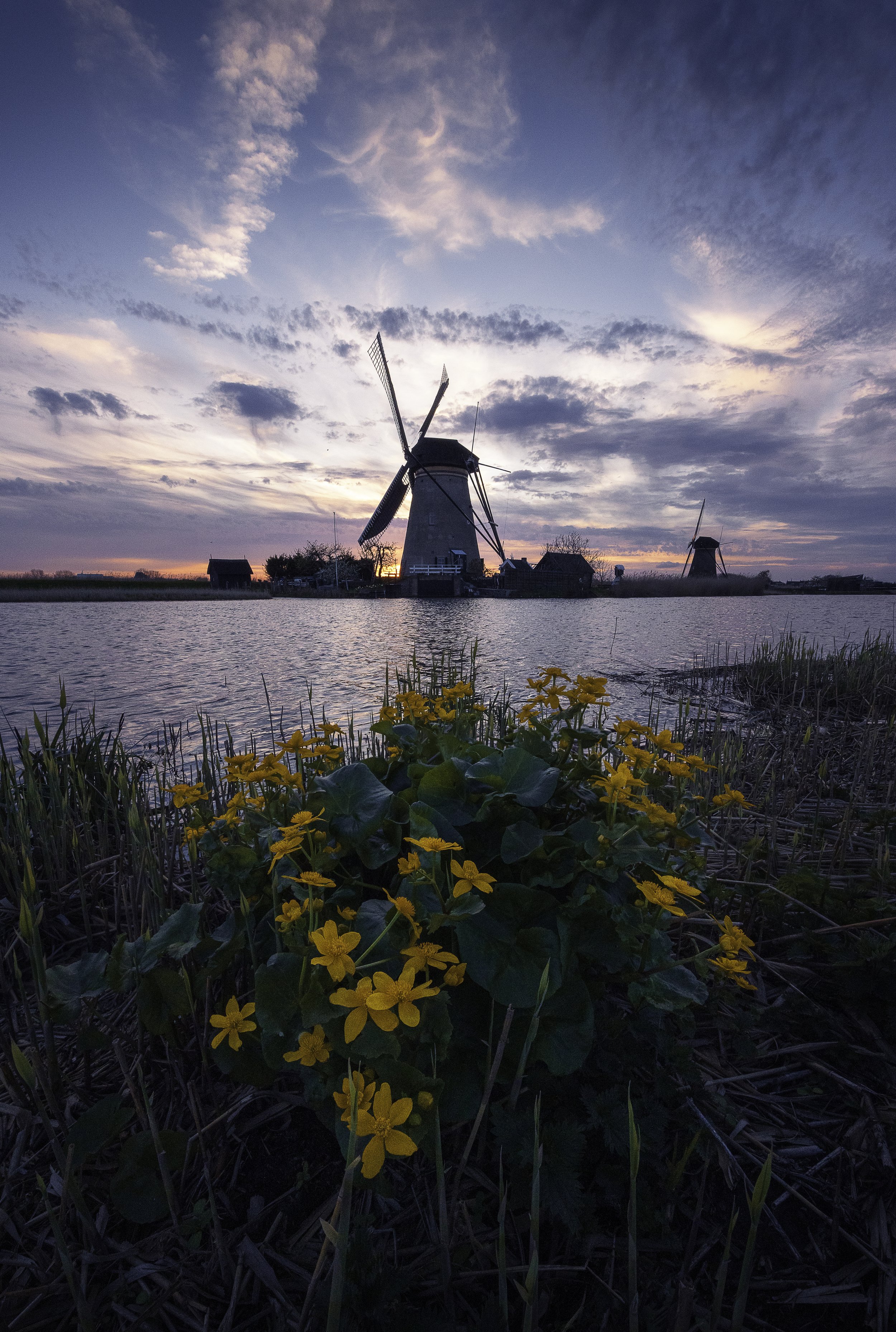 Untitled-700 website.jpg