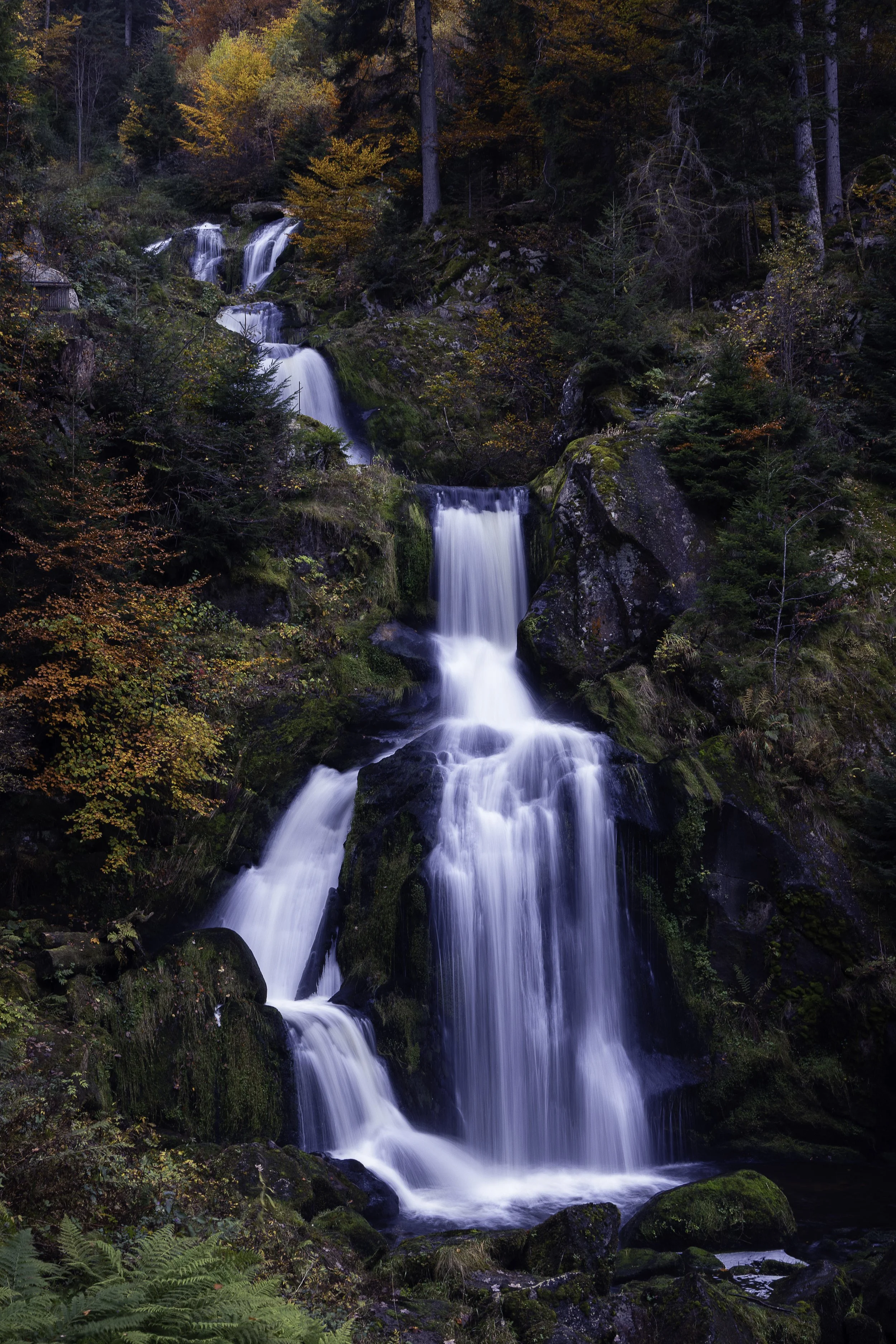 _94A9193-Edit copy.jpg