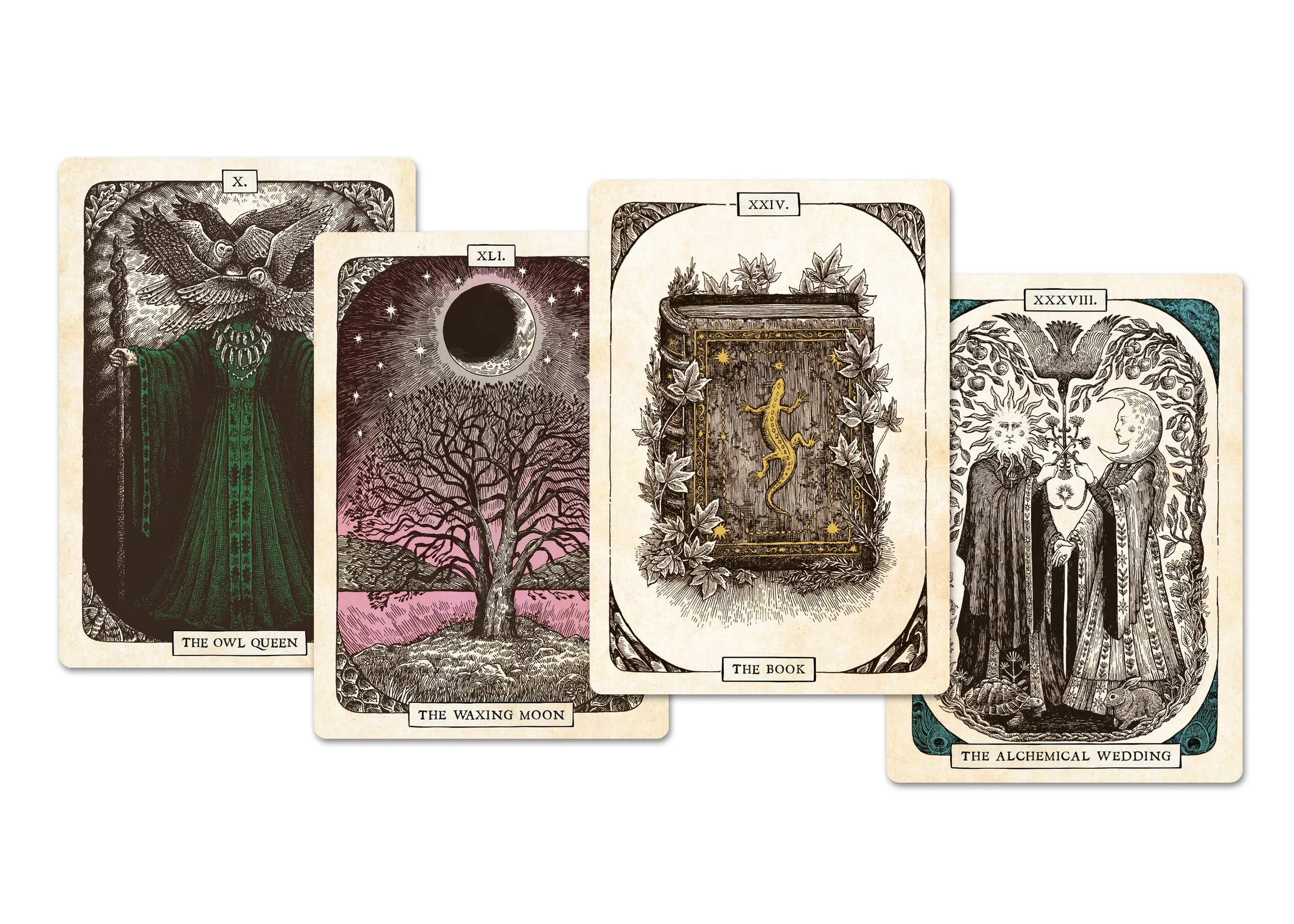 Black Bird Oracle Deck_cards_3.jpg