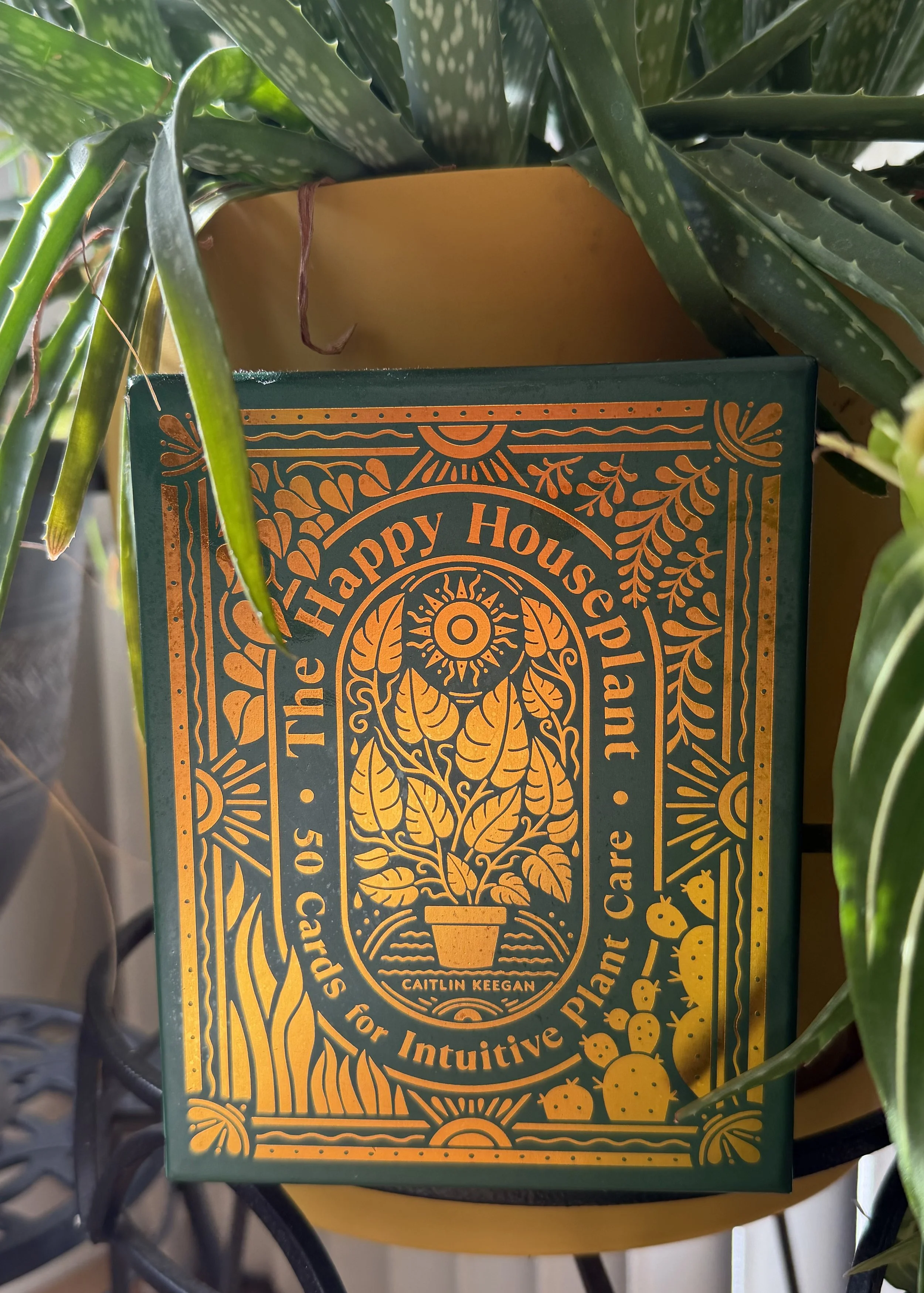 The Happy Houseplant Collection