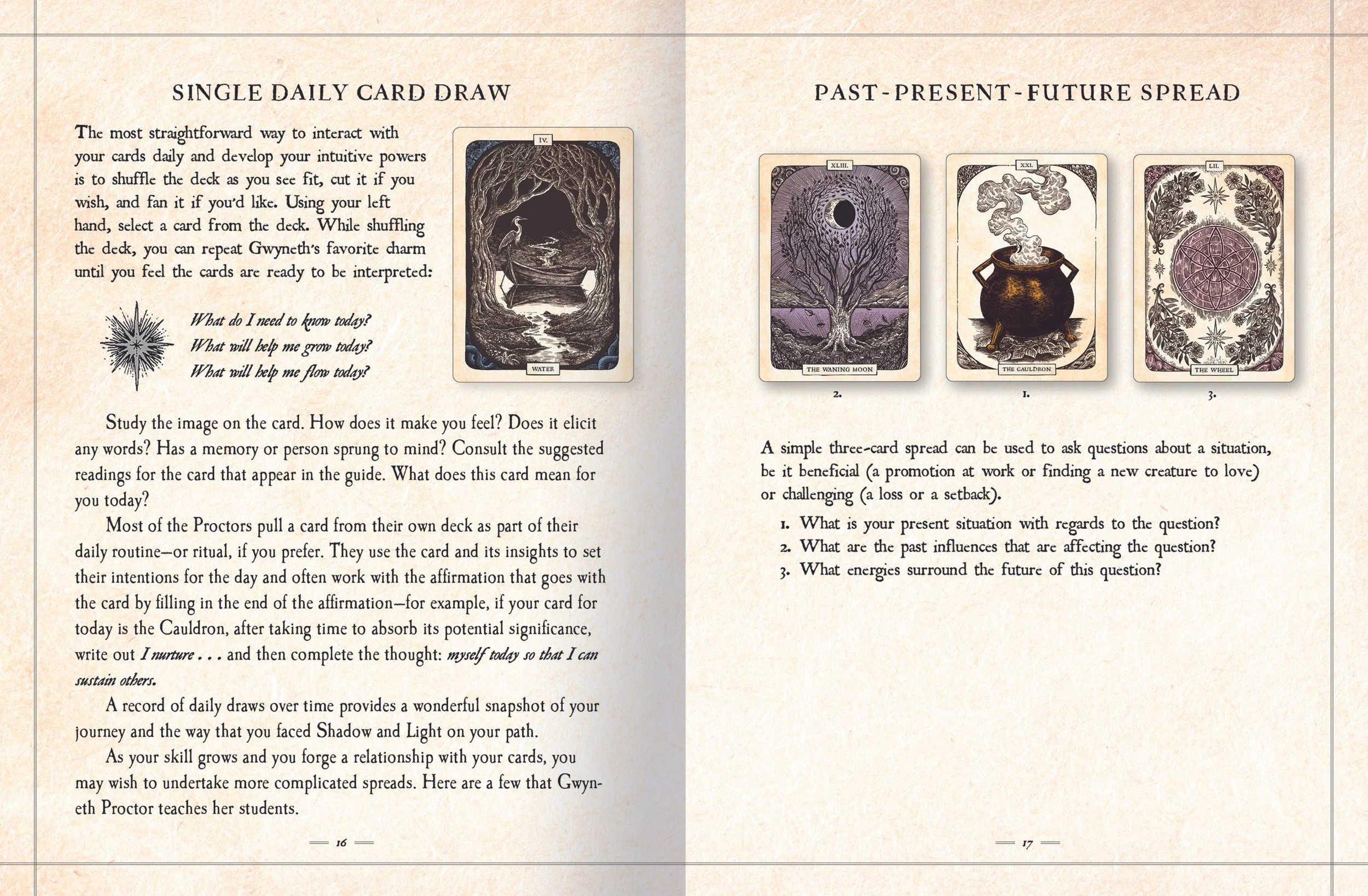 Black Bird Oracle Deck_bkt_spread_3.jpg