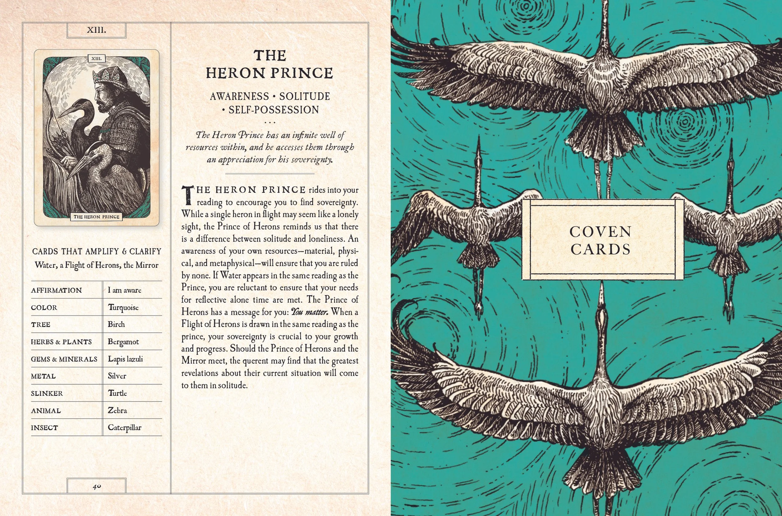 Black Bird Oracle Deck_bkt_spread_4.jpg