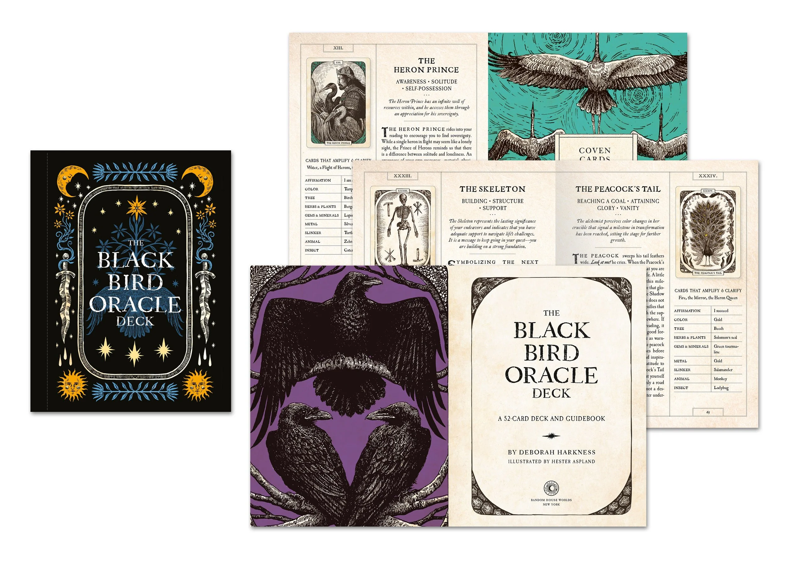 Black Bird Oracle Deck_booklet_samples.jpg