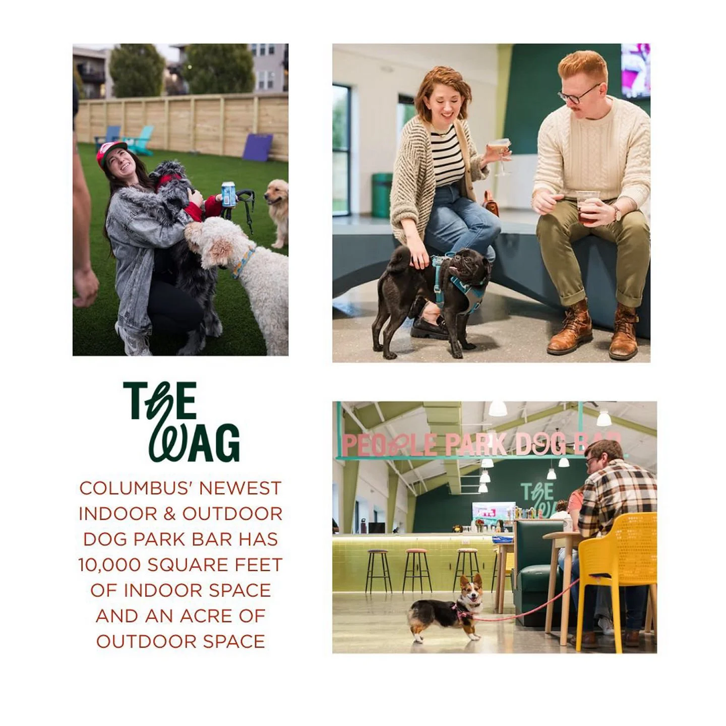If you are looking for something to do with your dog this weekend, check out The Wag! It is located in the Grandview area. See website for details:
https://nuvi.me/ompqxm