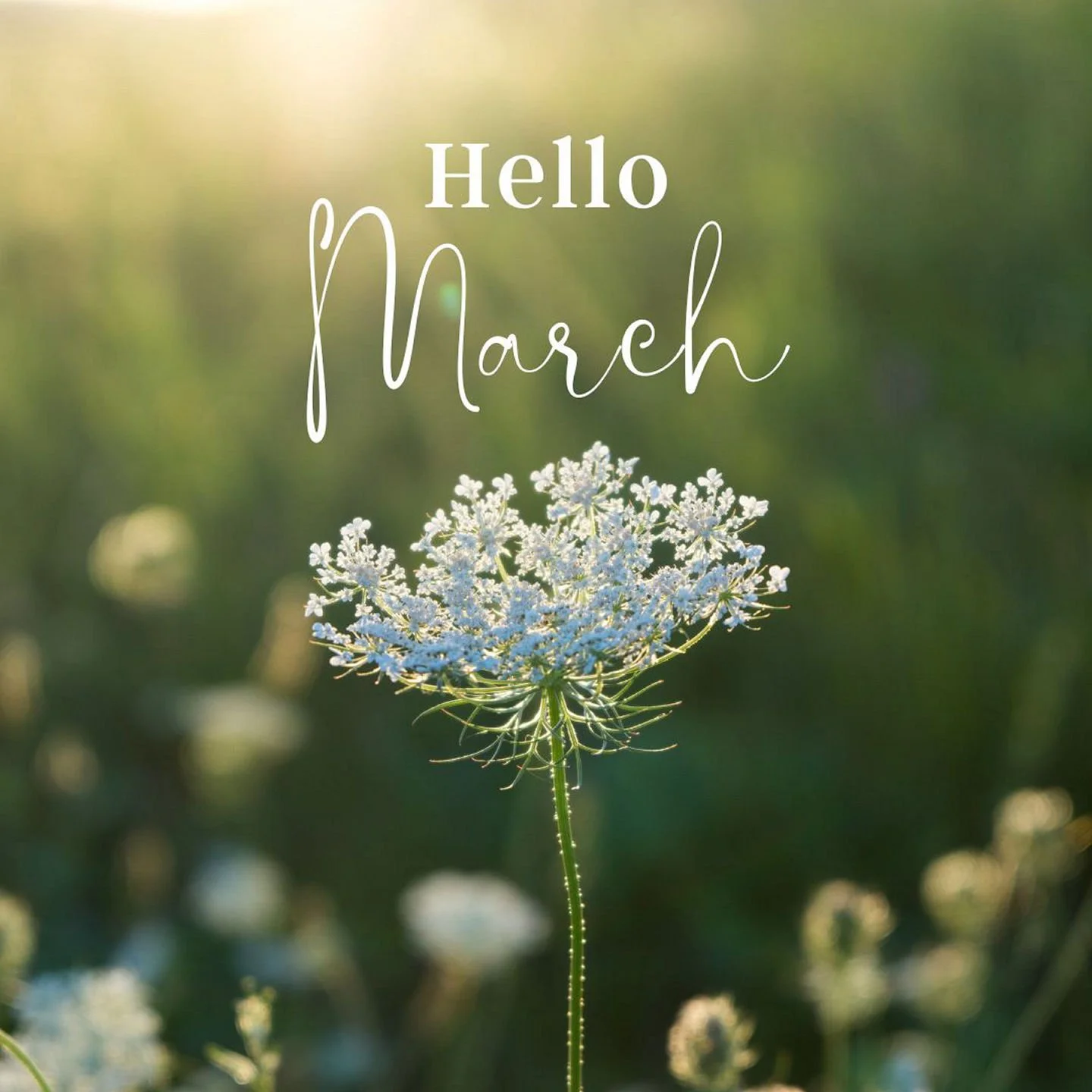 March is here!