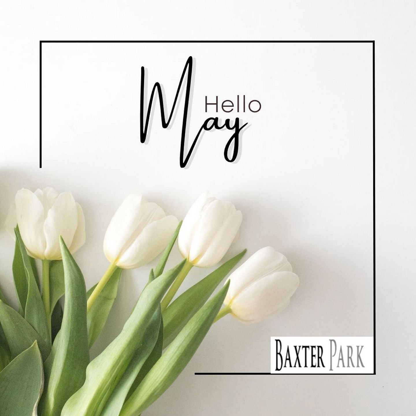 Hello May! 🌷