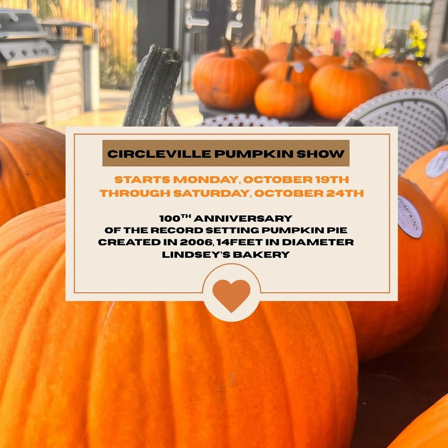 Circleville Pumpkin Show starts Monday, October 19th through Saturday, October 24th. If you are looking for some FALL FUN, I highly reccommend! 🎃🍂