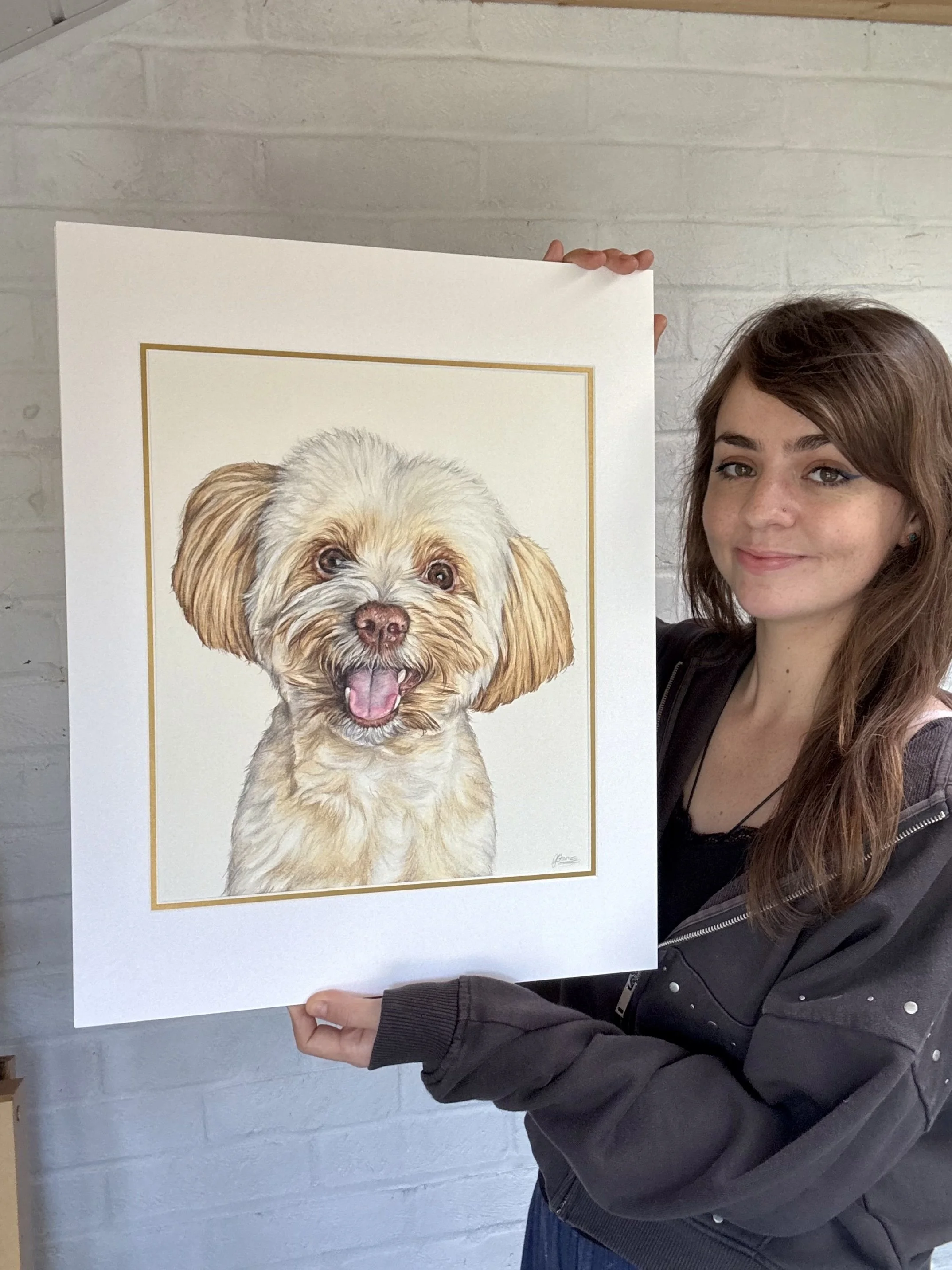 artist holds up a coloured pencil portrait drawing of a maltipoo dog.