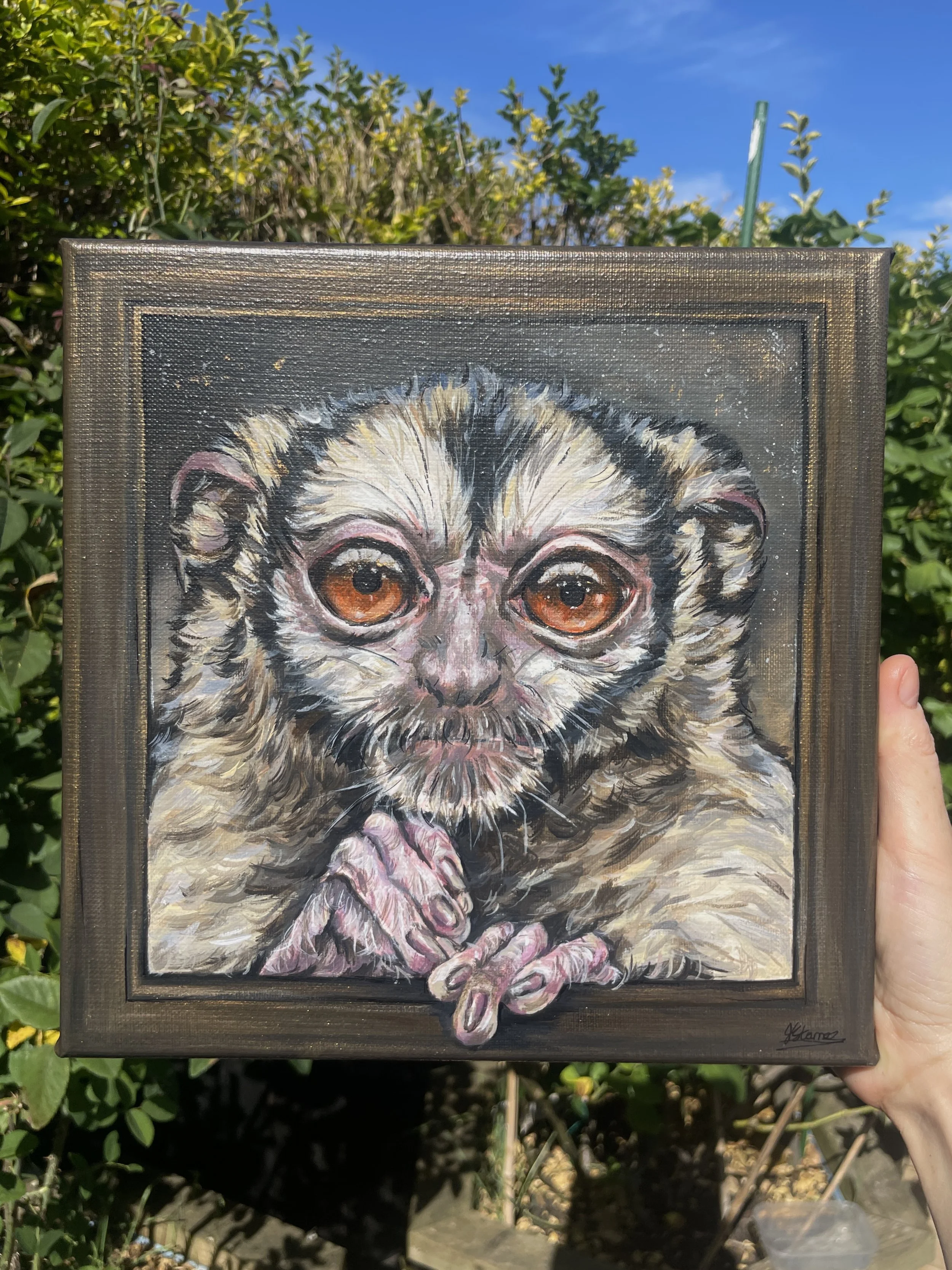 'Not just a pretty picture', 3 striped night monkey, acrylic on linen canvas, 10x10 inches.