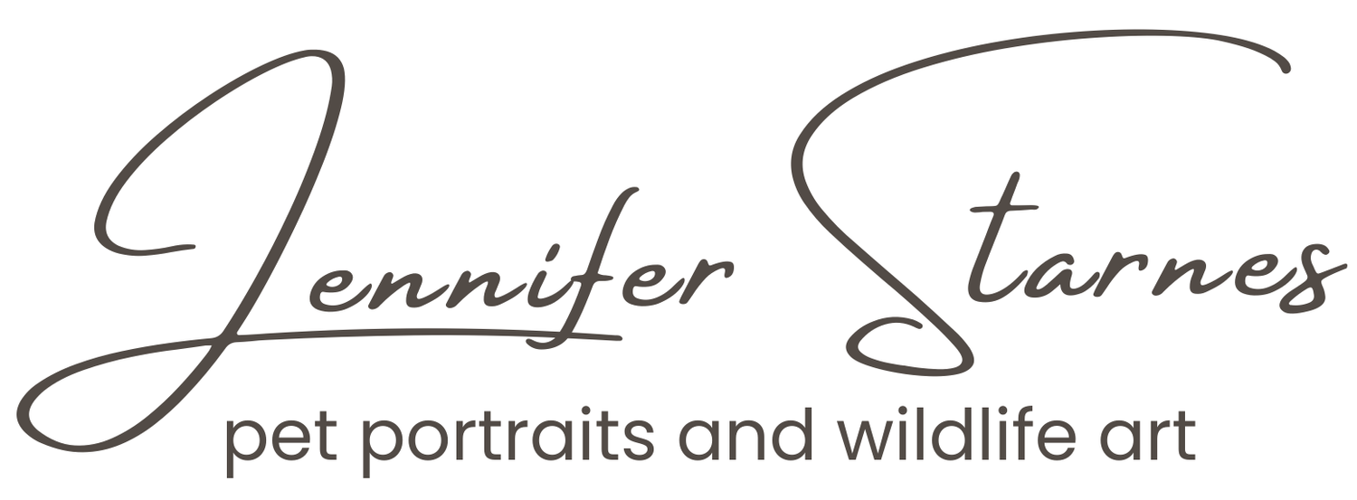 Jennifer Starnes - pet portraits and wildlife art