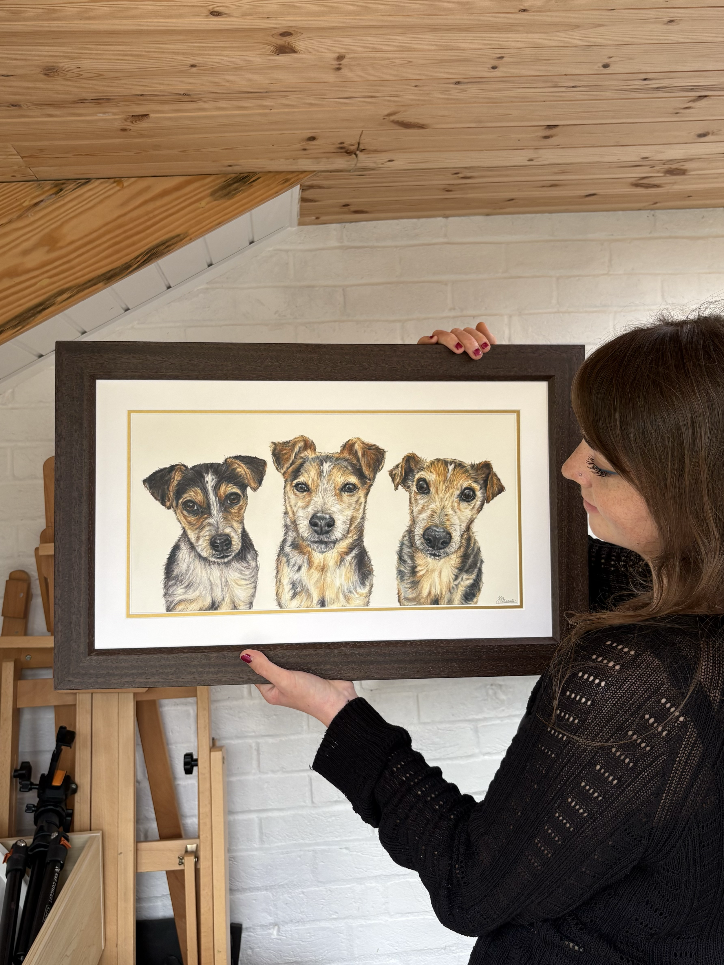artist holds up a triple coloured pencil portrait drawing of a jack Russell dog. 