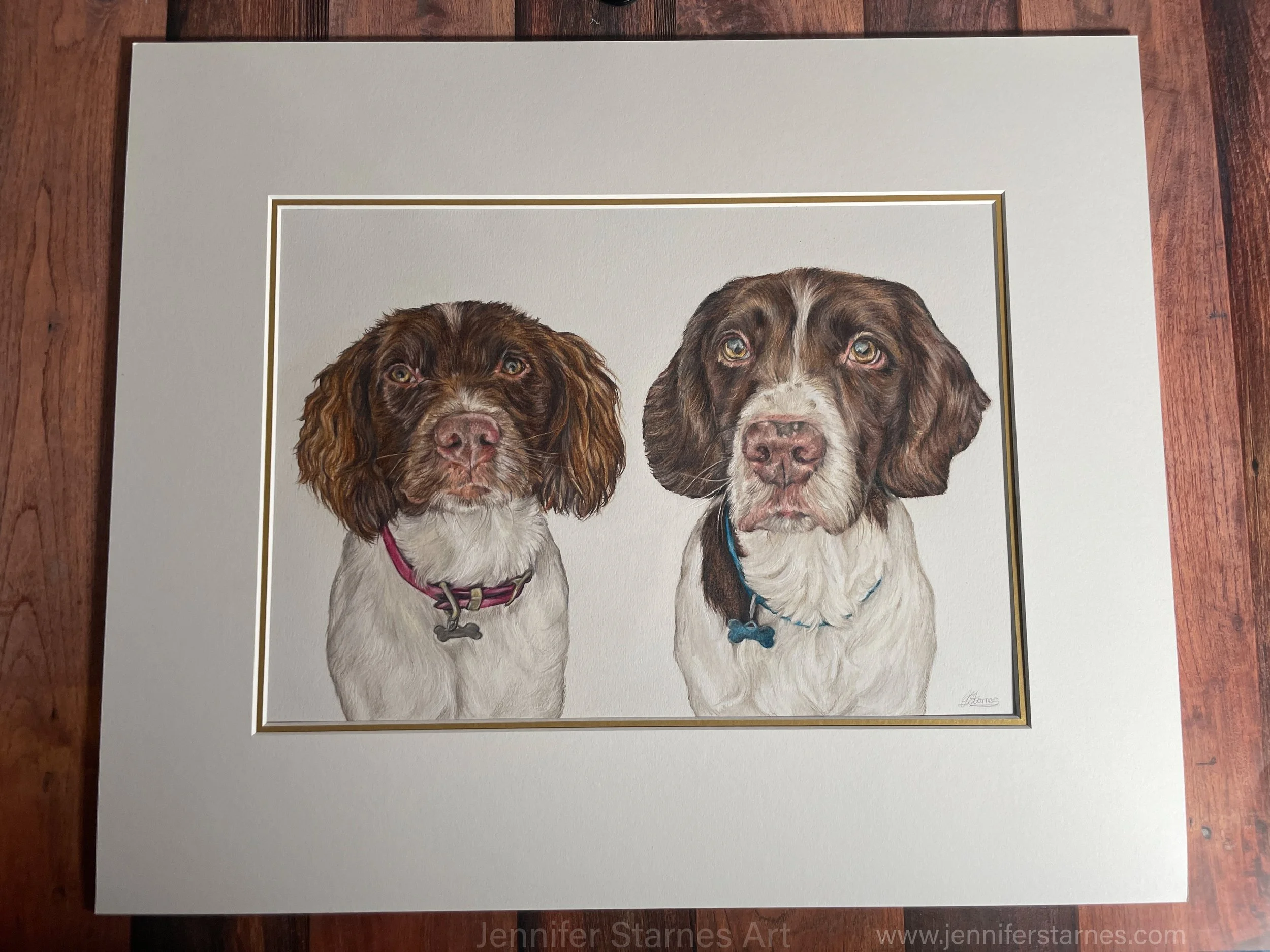 a double portrait drawing of two spaniels