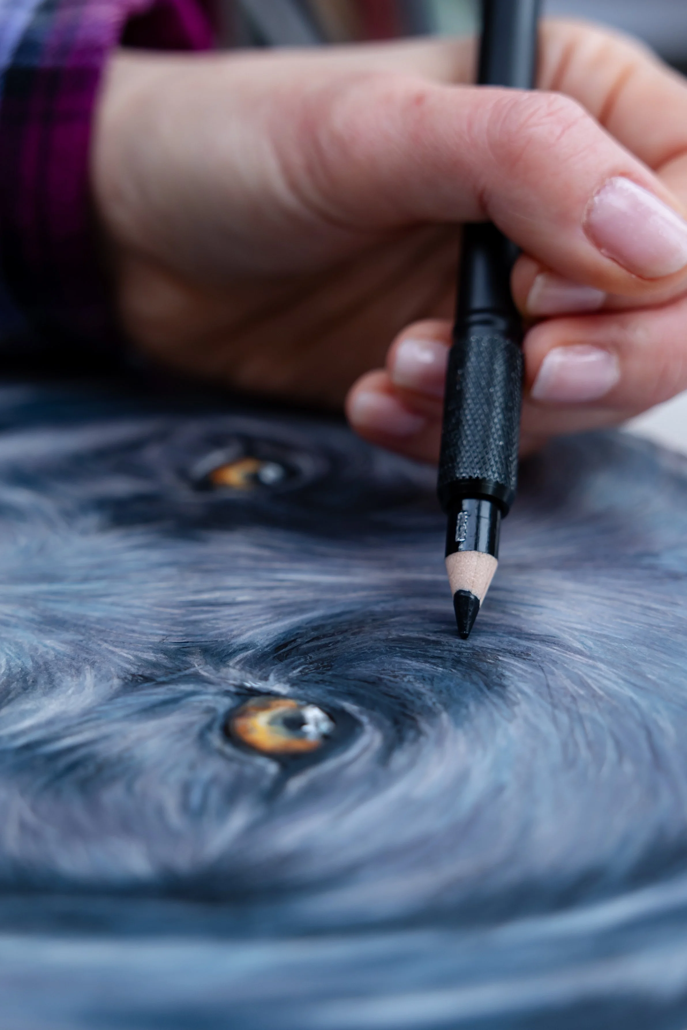photo of artist drawing a portrait of a black Labrador.