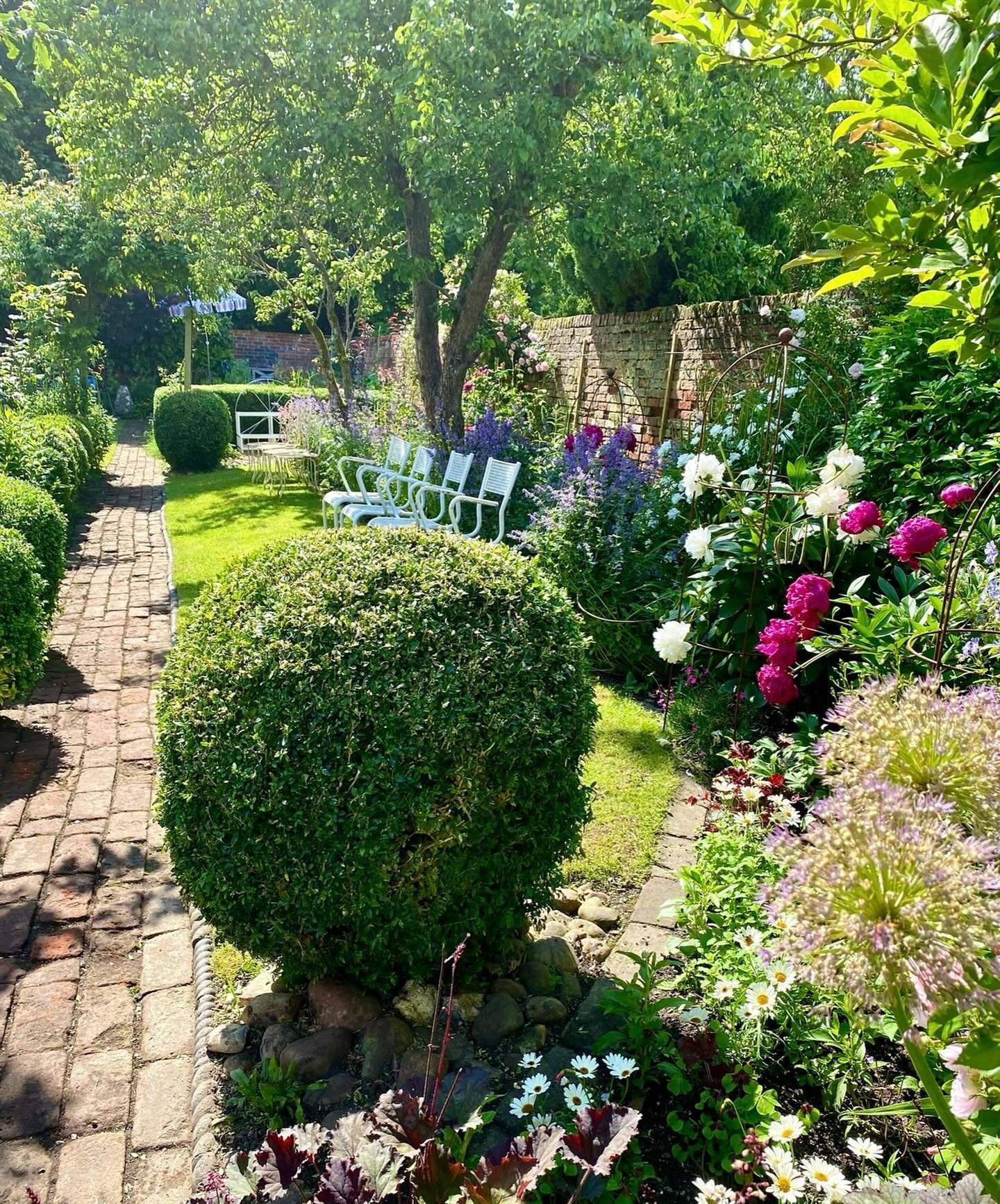 Yes I&rsquo;m longing for it&hellip; a little sunshine as I wander down my garden path ☀️

It&rsquo;s predicted to be lots warmer this weekend but it&rsquo;s the intensity of colour I&rsquo;m yearning for - bright blue skies &amp; a border that looks