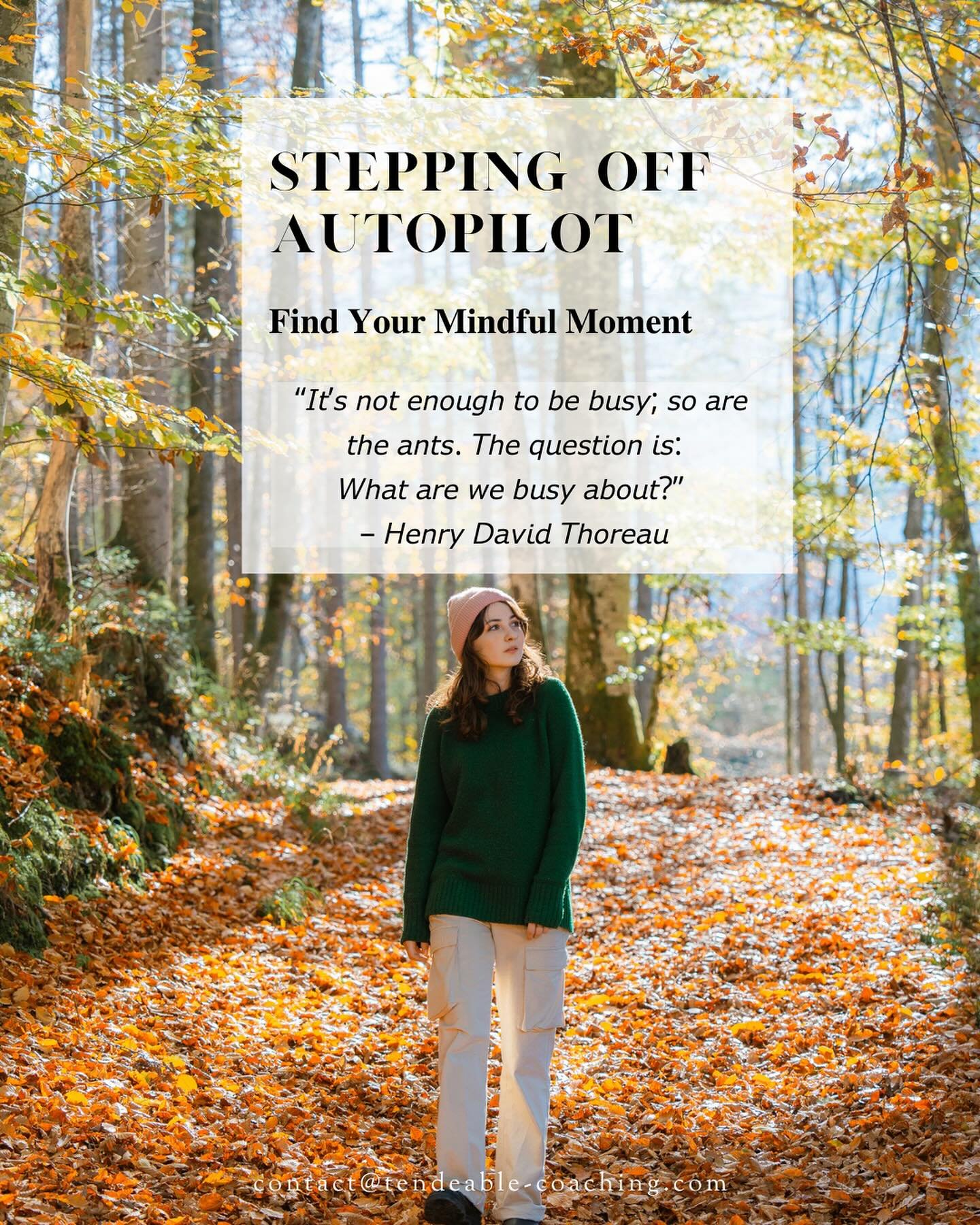 🍂 𝐒𝐭𝐞𝐩𝐩𝐢𝐧𝐠 𝐨𝐟𝐟 𝐀𝐮𝐭𝐨𝐩𝐢𝐥𝐨𝐭: 𝐅𝐢𝐧𝐝 𝐘𝐨𝐮𝐫 𝐌𝐢𝐧𝐝𝐟𝐮𝐥 𝐌𝐨𝐦𝐞𝐧𝐭 🍂

&ldquo;𝘐𝘵&rsquo;𝘴 𝘯𝘰𝘵 𝘦𝘯𝘰𝘶𝘨𝘩 𝘵𝘰 𝘣𝘦 𝘣𝘶𝘴𝘺; 𝘴𝘰 𝘢𝘳𝘦 𝘵𝘩𝘦 𝘢𝘯𝘵𝘴. 𝘛𝘩𝘦 𝘲𝘶𝘦𝘴𝘵𝘪𝘰𝘯 𝘪𝘴: 𝘞𝘩𝘢𝘵 𝘢𝘳𝘦 𝘸𝘦 𝘣𝘶𝘴𝘺 𝘢?
