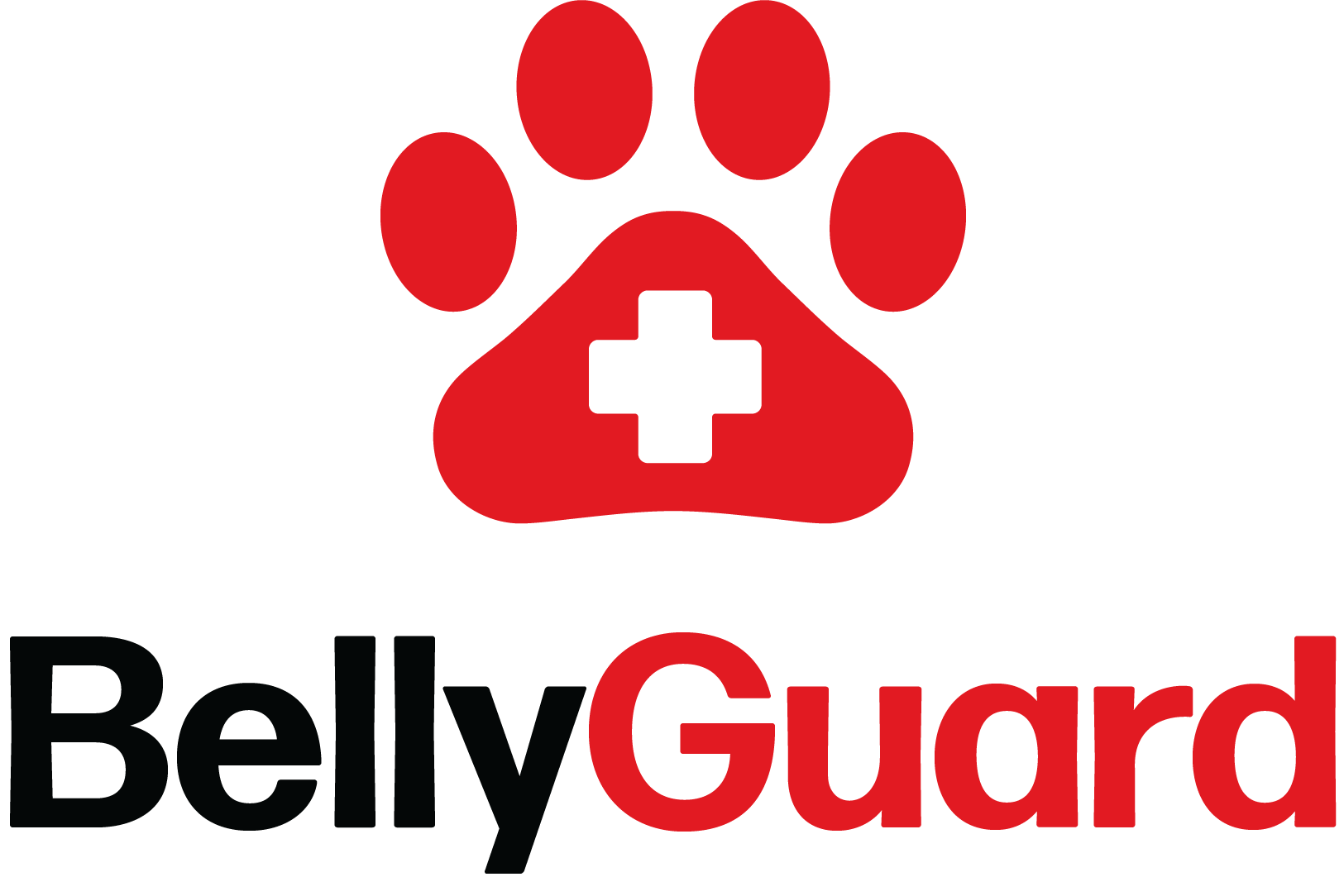 BellyGuard_logo_final.png.webp