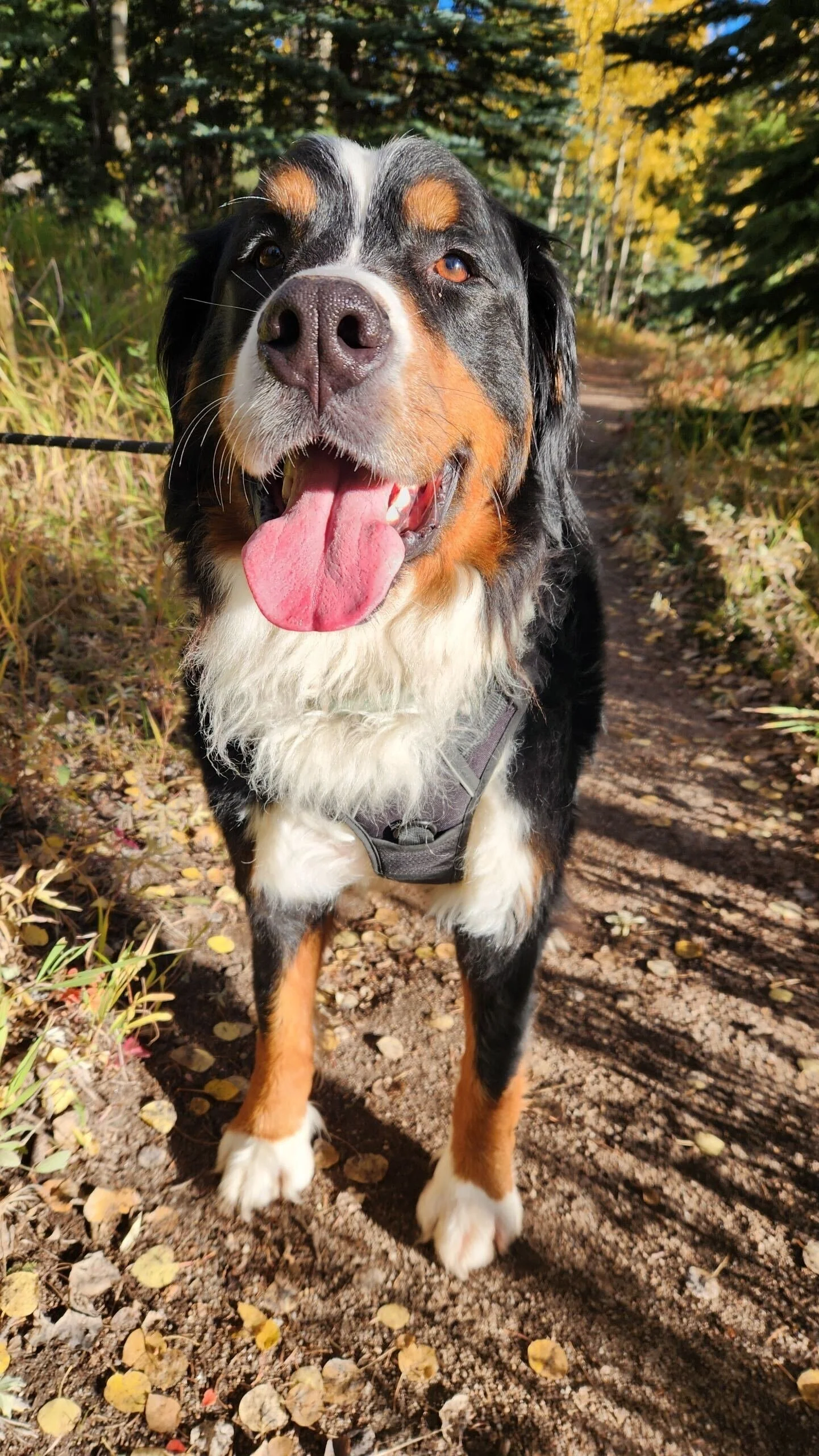 Image from iOS-2.jpg