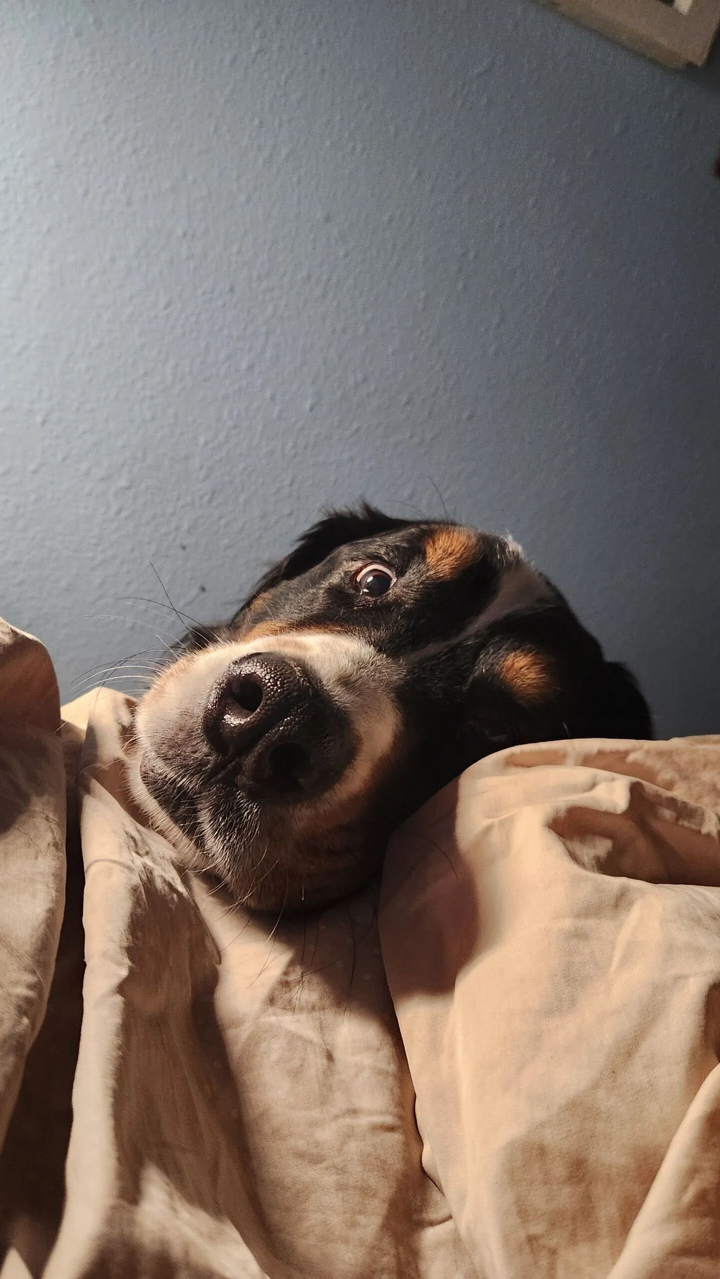 Image from iOS-3.jpg