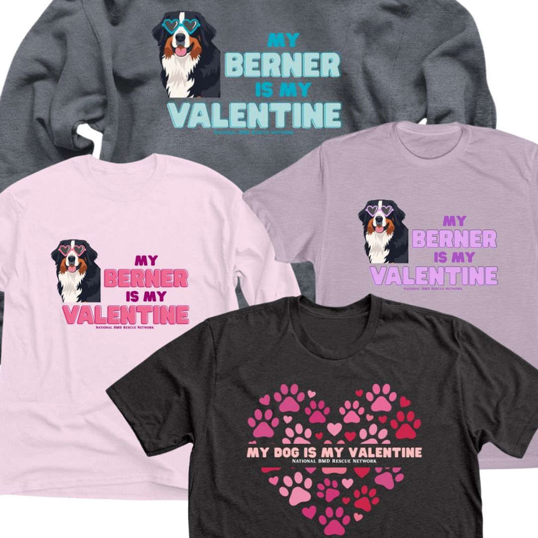 Fundraiser: My Dog is my Valentine