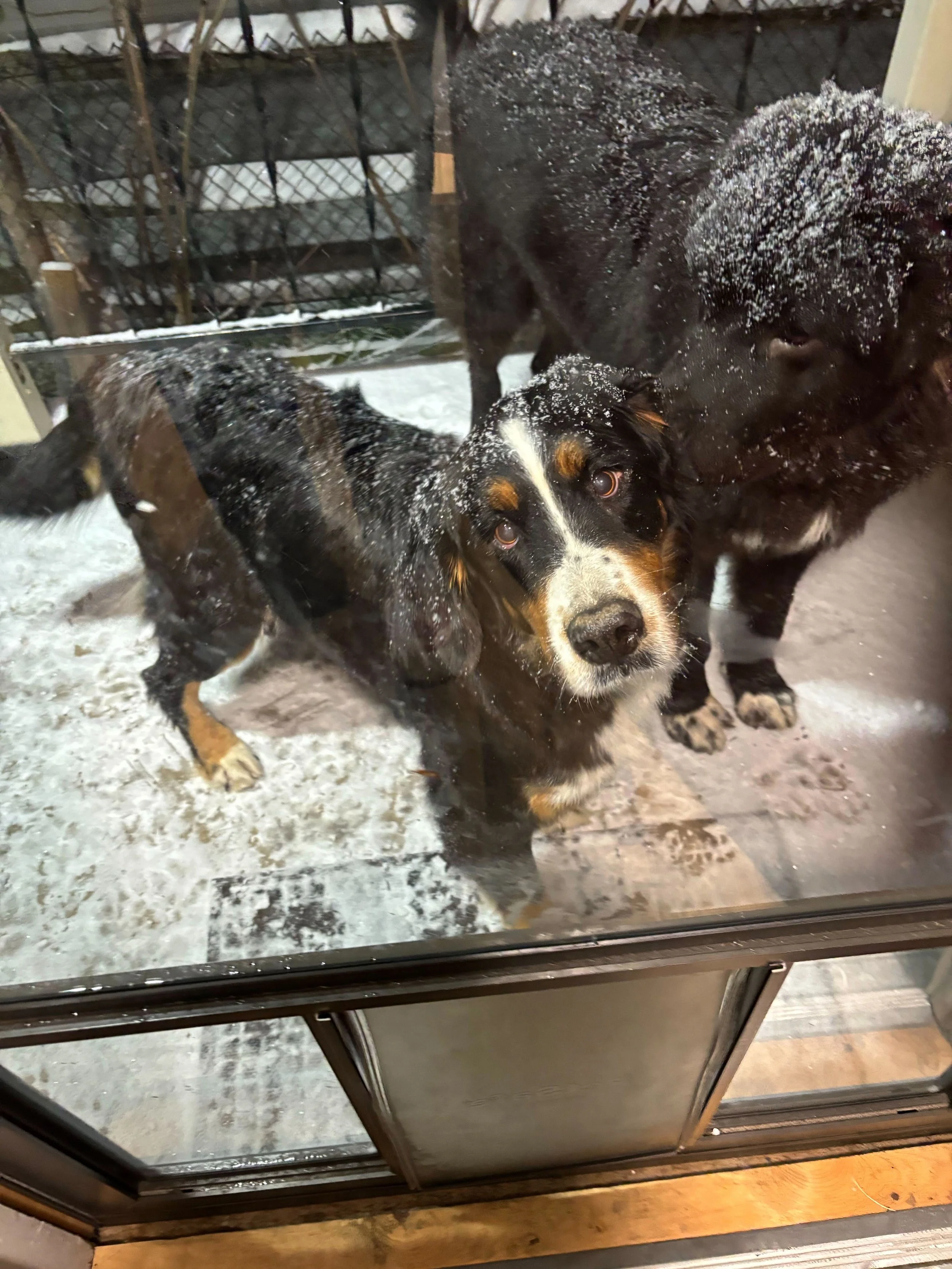 Image from iOS-2.jpg